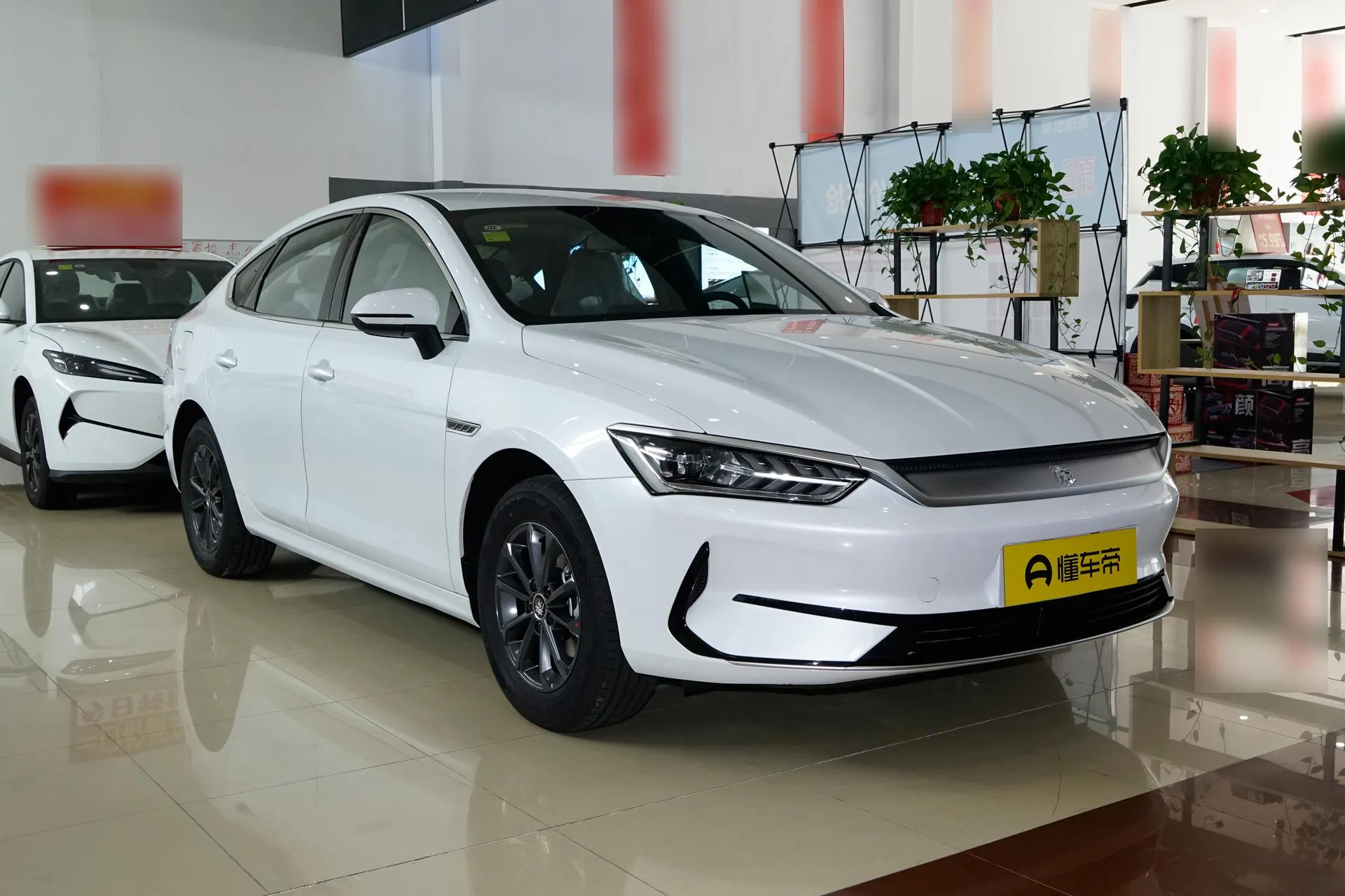  Qin Plus EV 510 KM Standard