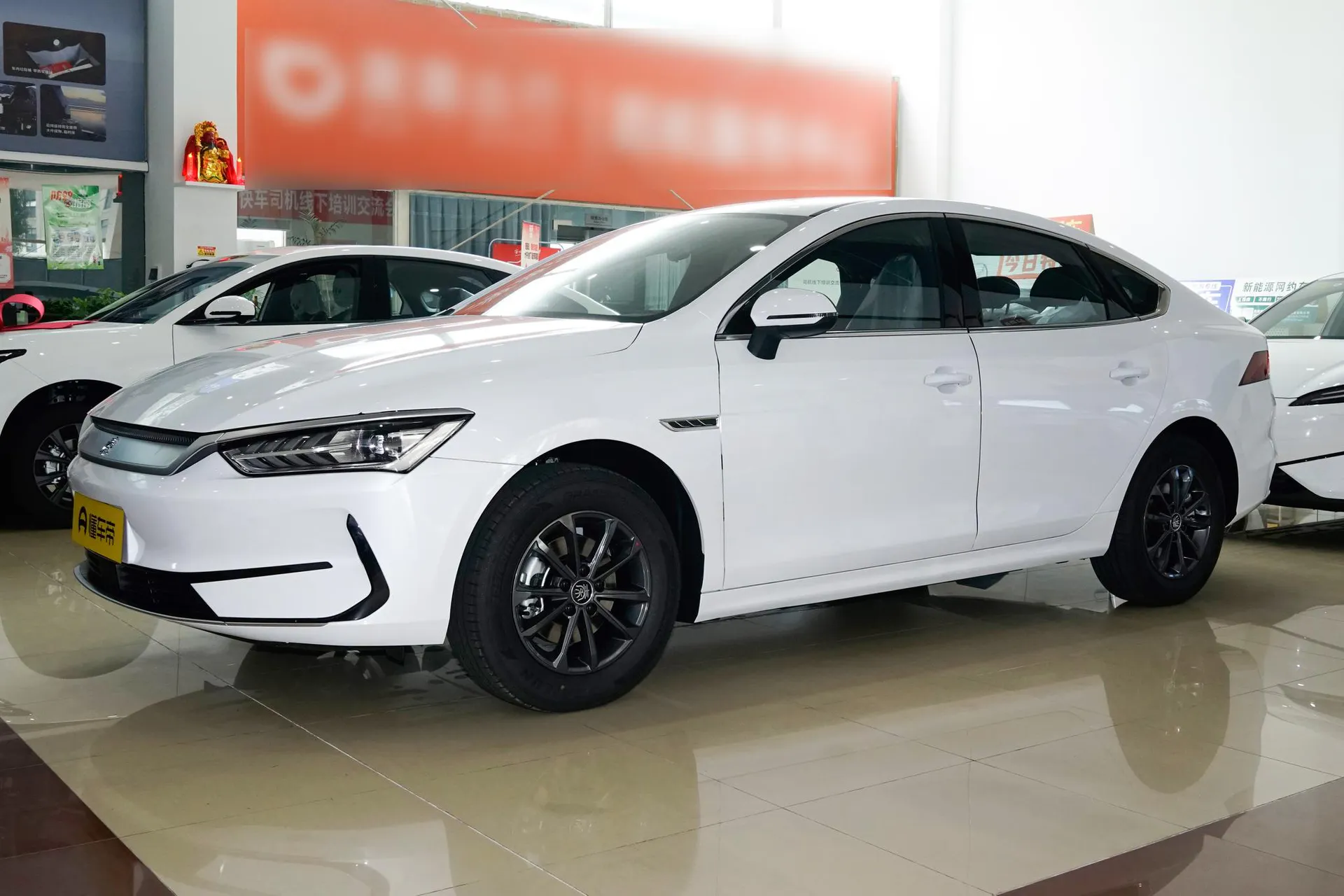  Qin Plus EV 510 KM Standard