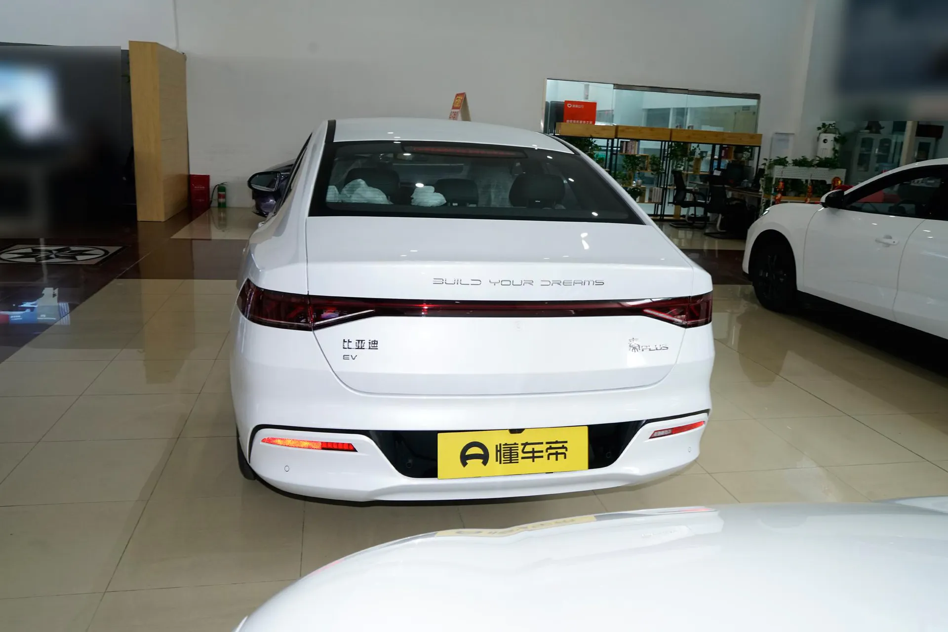  Qin Plus EV 510 KM Standard