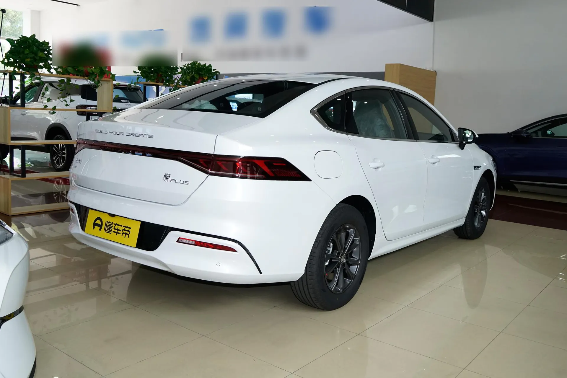  Qin Plus EV 510 KM Standard