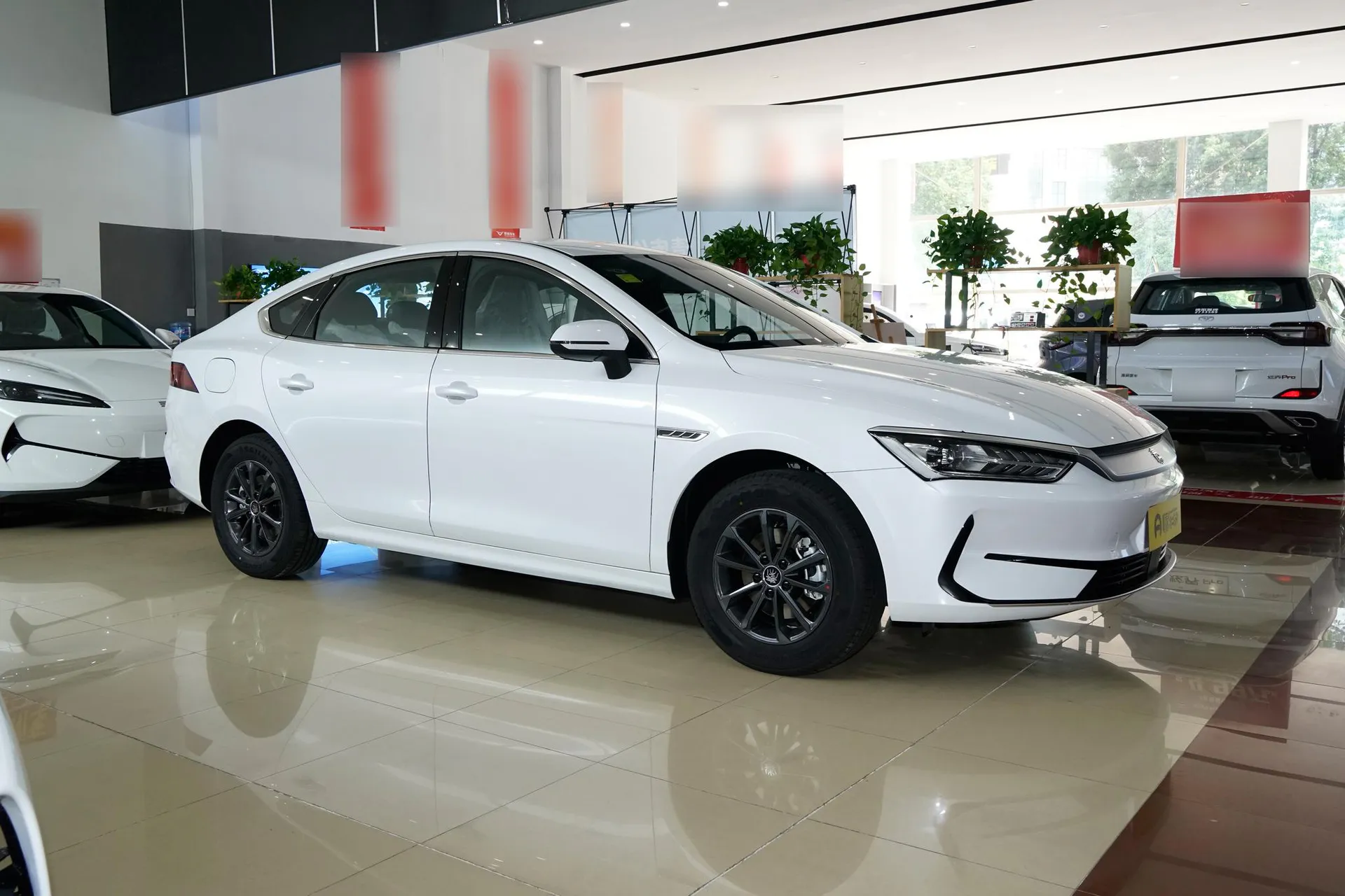  Qin Plus EV 510 KM Standard