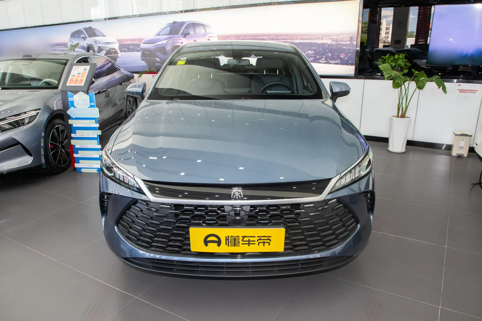  Qin Plus DM-i 128 KM Progressive