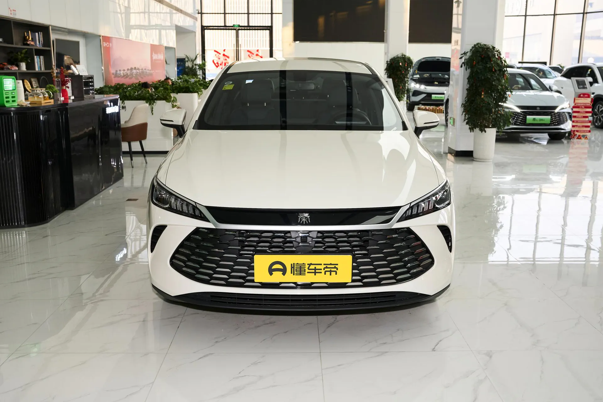  Qin Plus DM-i 128 KM Progressive
