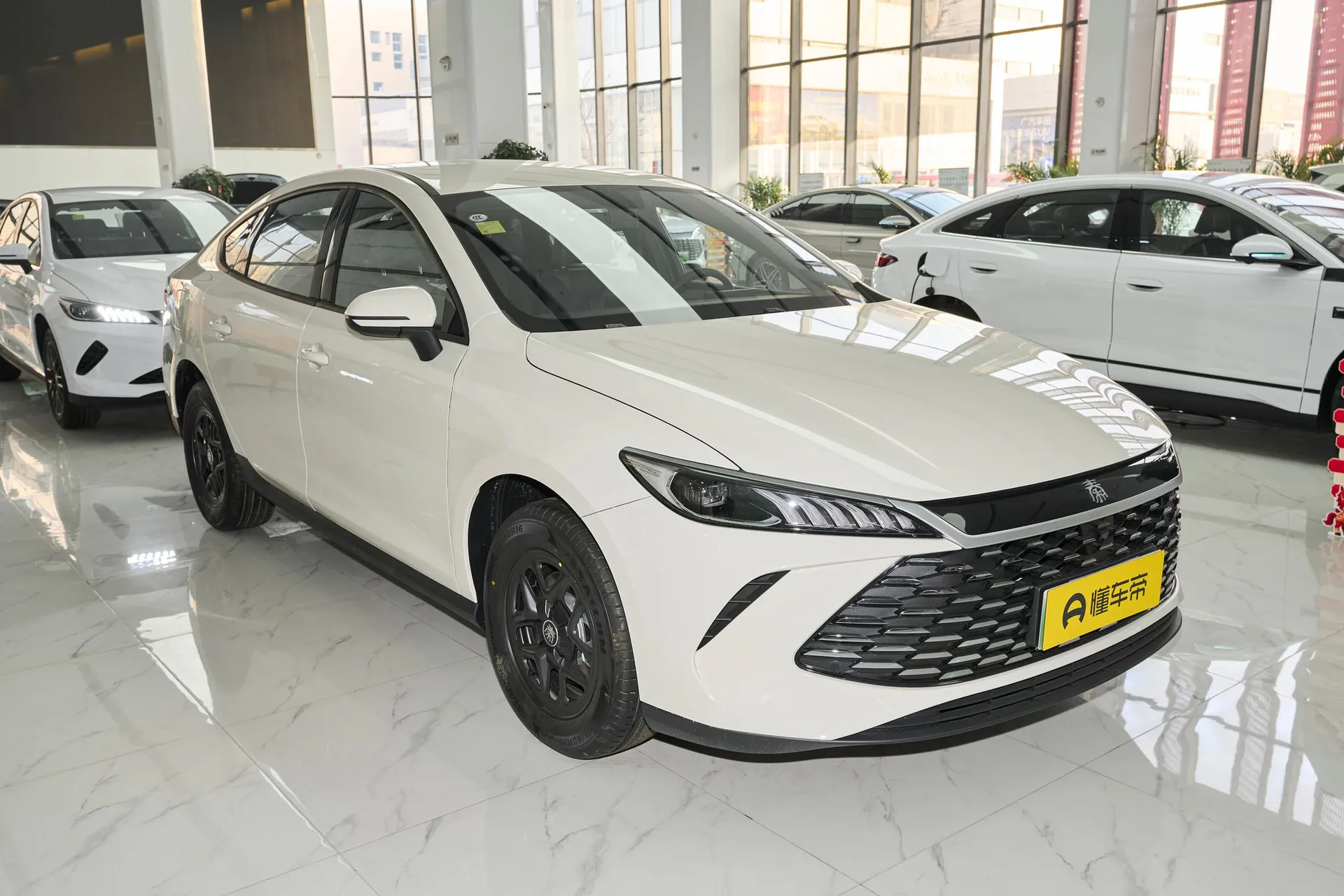  Qin Plus DM-i 128 KM Progressive