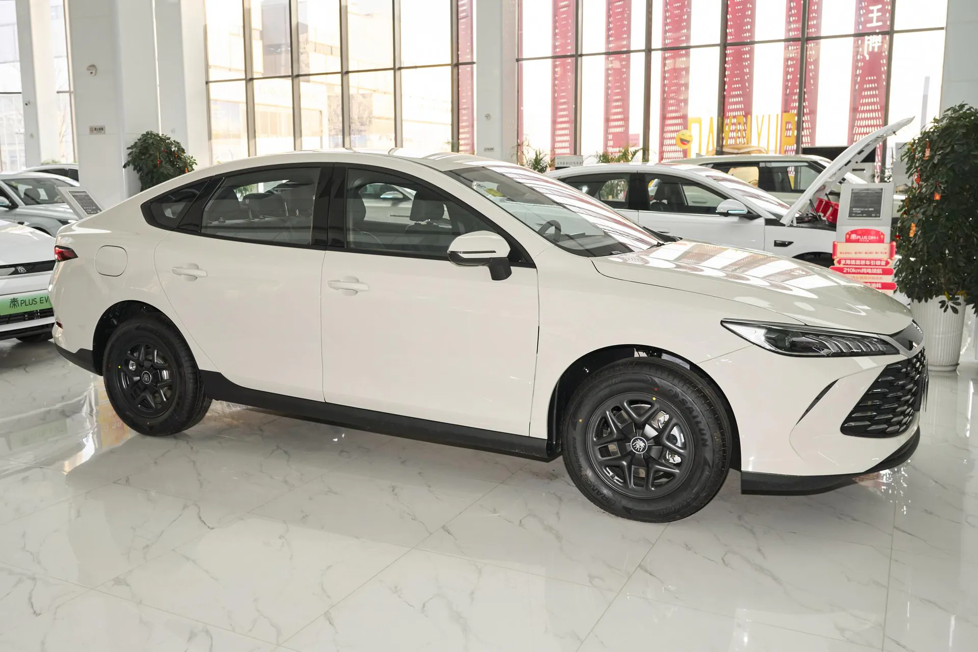  Qin Plus DM-i 128 KM Progressive