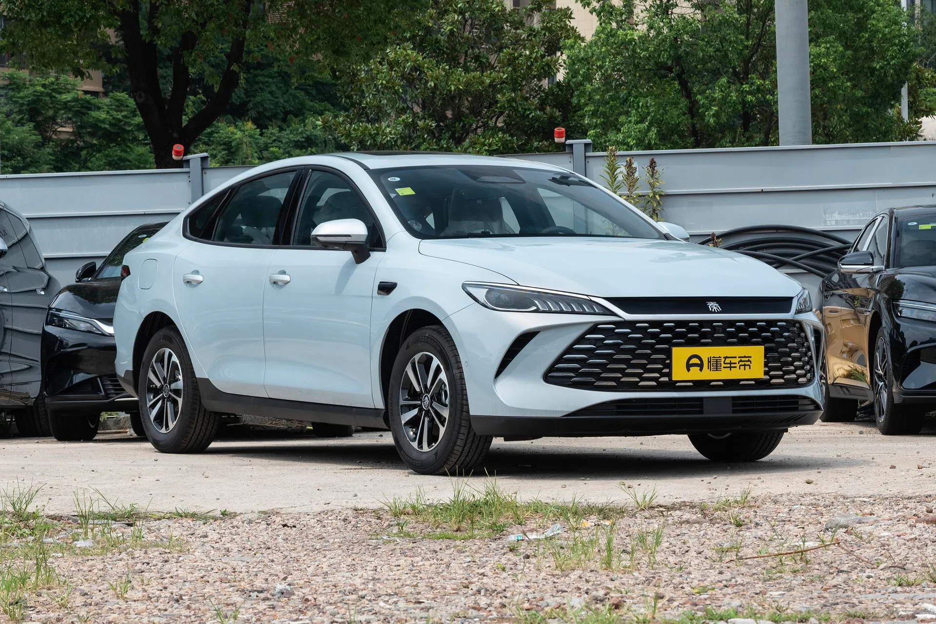  Qin Plus DM-i 210 KM Transcend