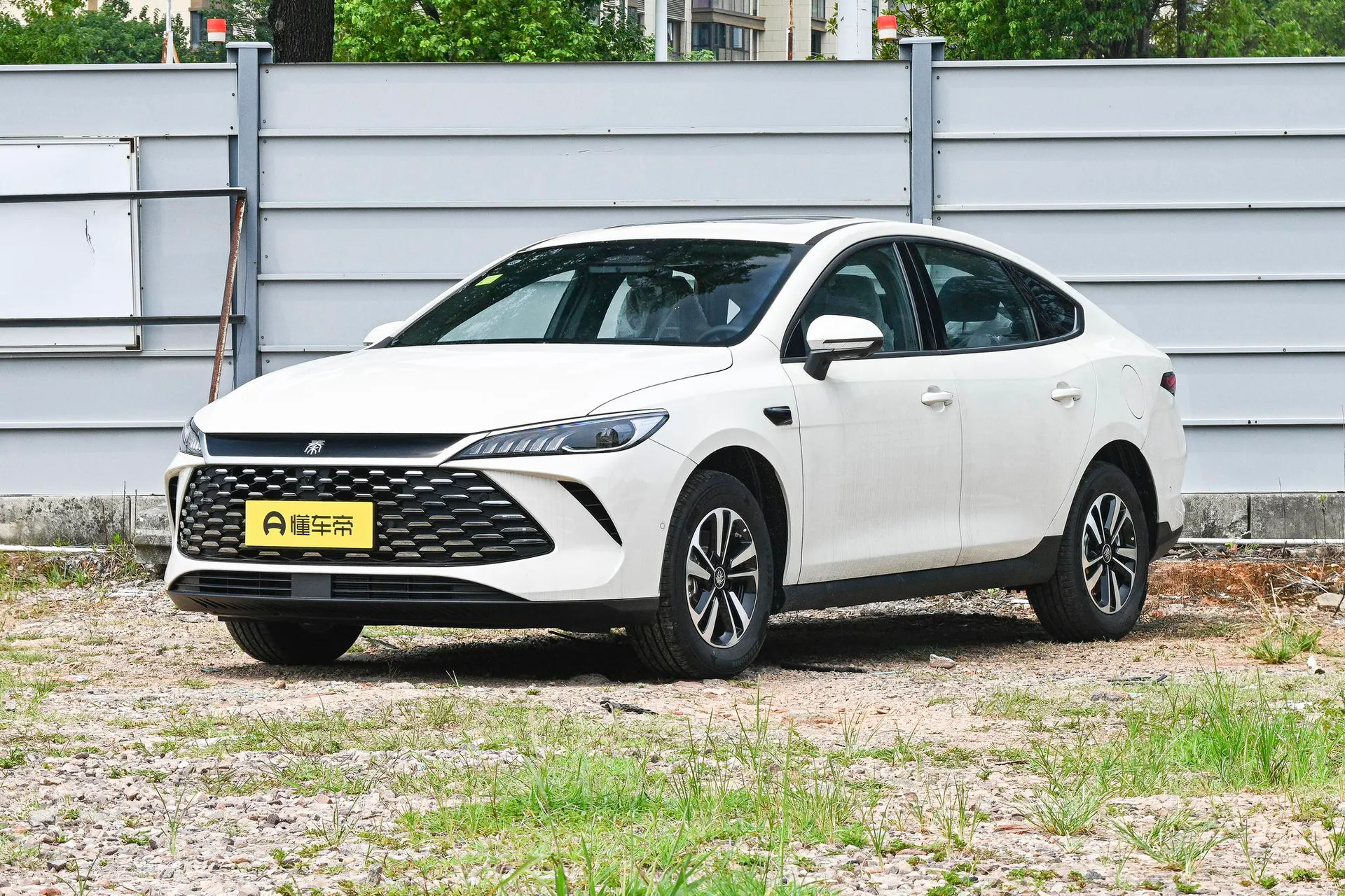  Qin Plus DM-i 210 KM Transcend