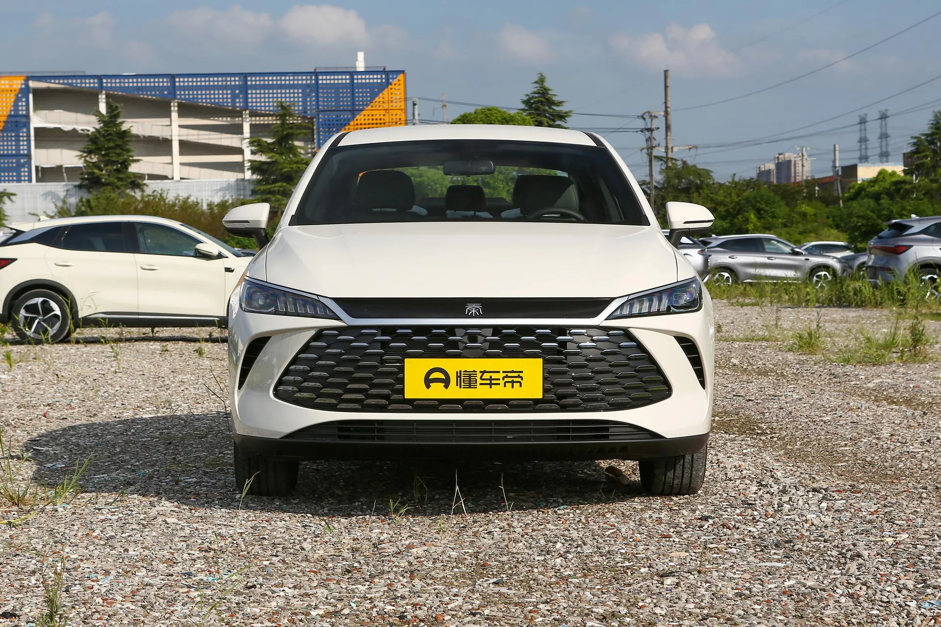  Qin Plus DM Smart Driving DM-i 128 KM Progressive
