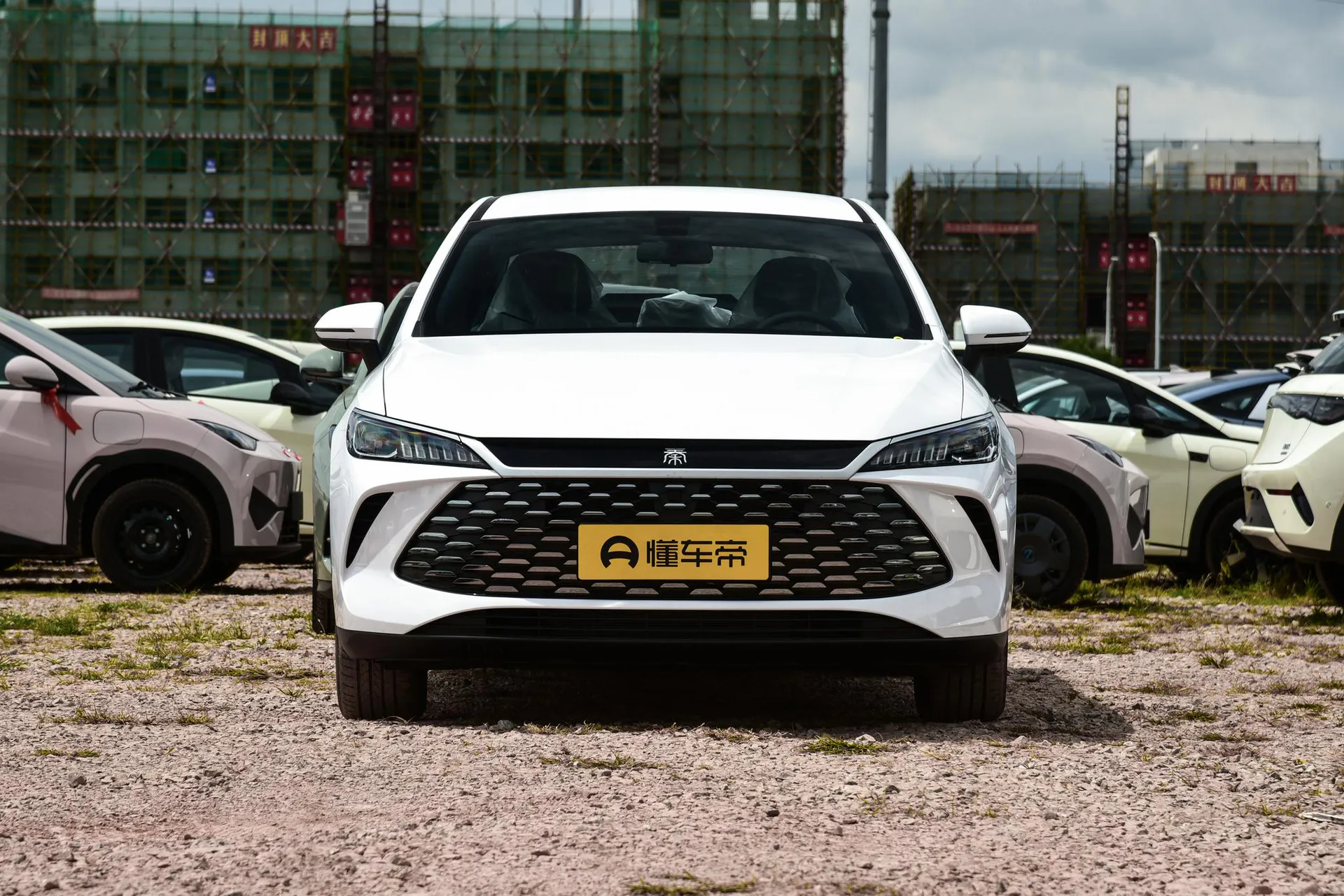  Qin Plus DM Smart Driving DM-i 128 KM Progressive