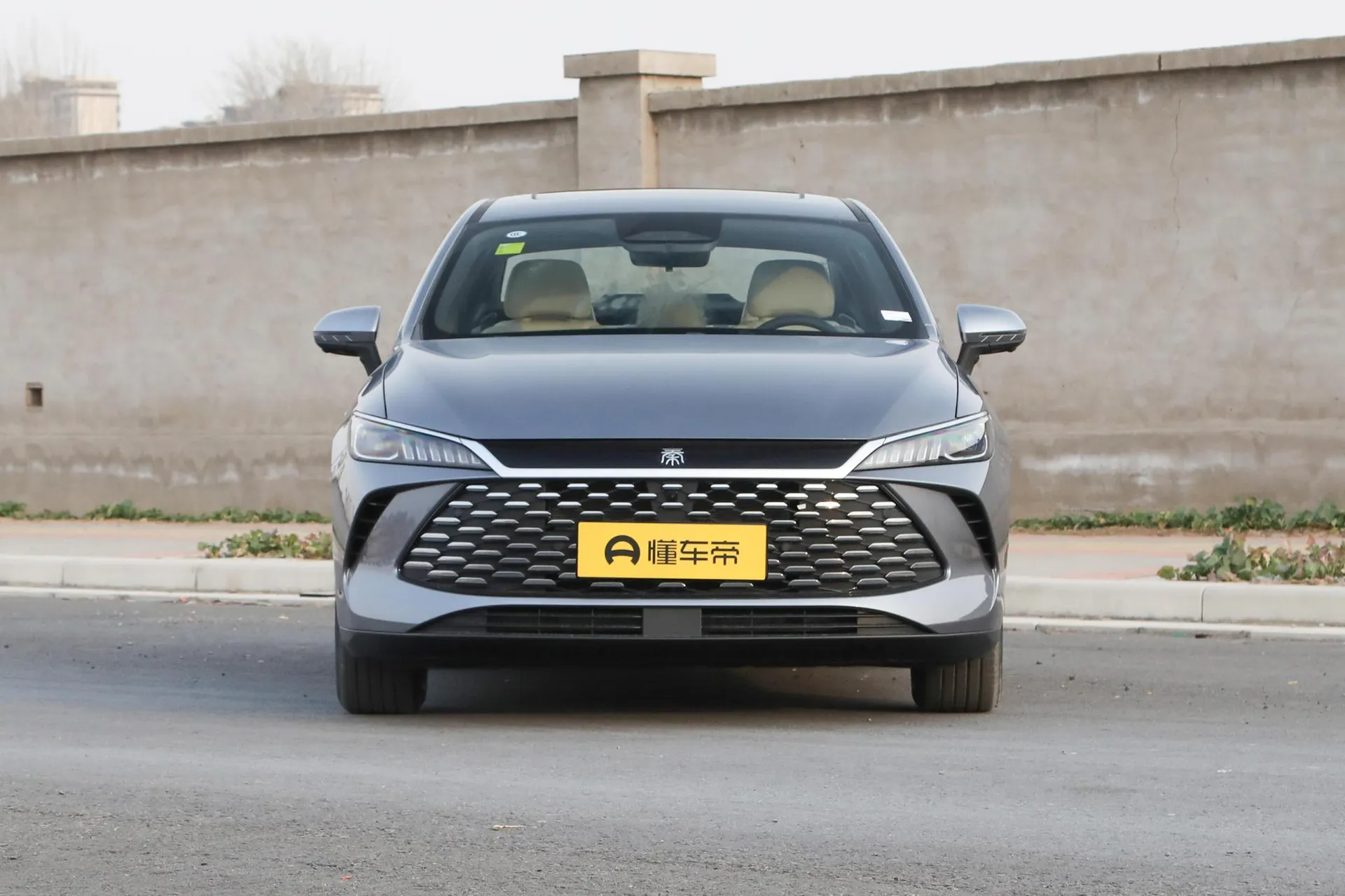  Qin Plus DM Smart Driving DM-i 55 KM Transcend