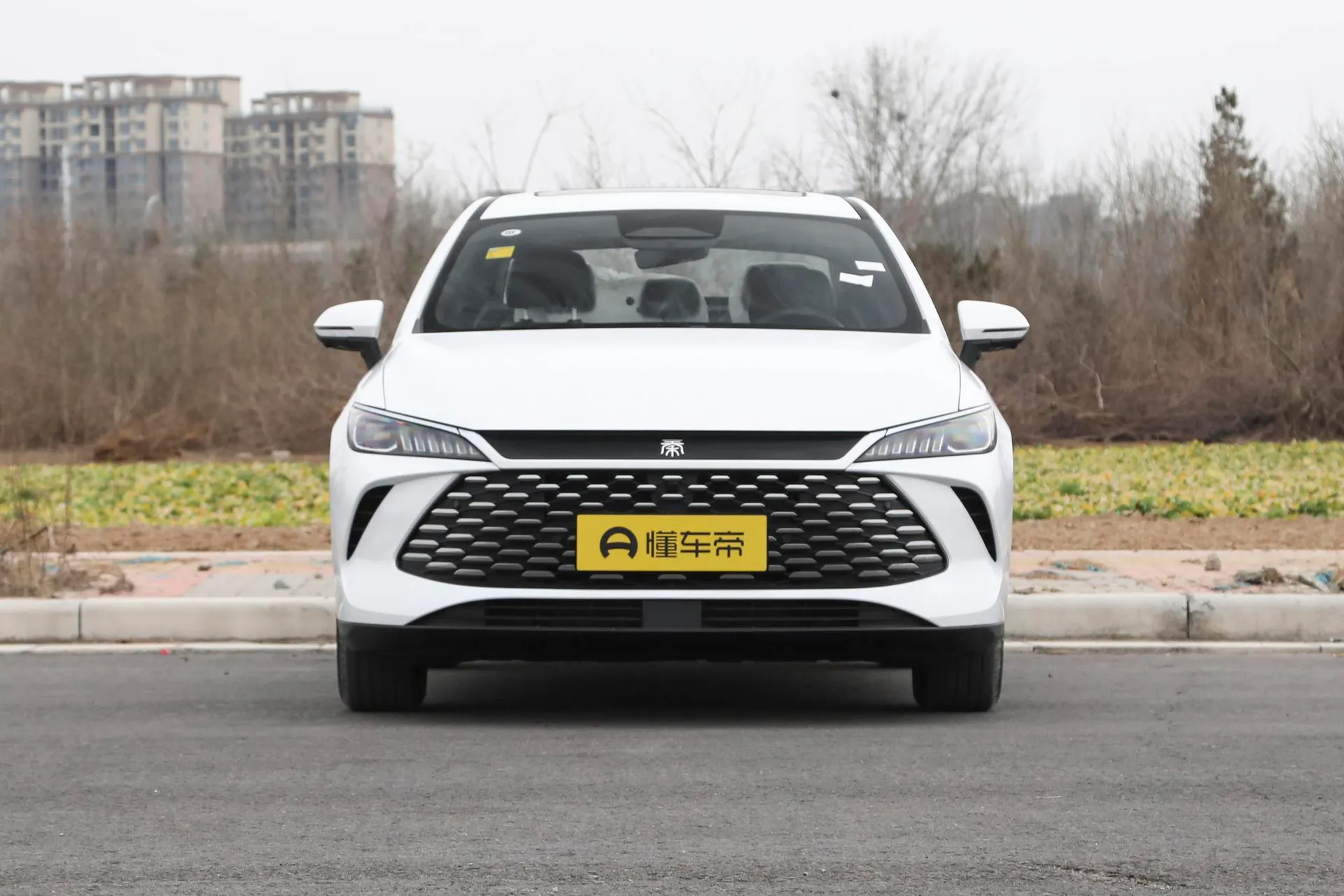  Qin Plus DM Smart Driving DM-i 55 KM Transcend