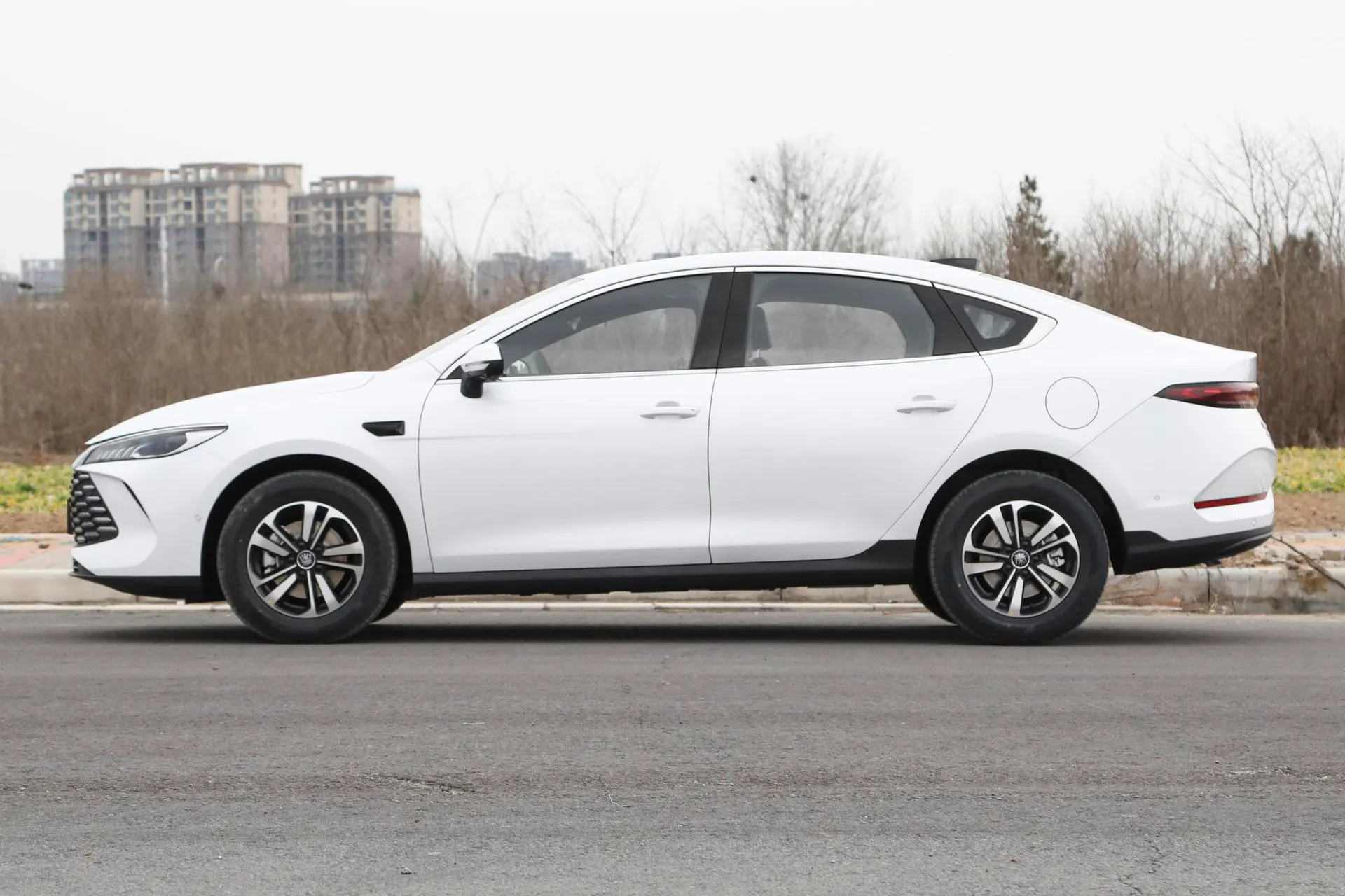  Qin Plus DM Smart Driving DM-i 55 KM Transcend