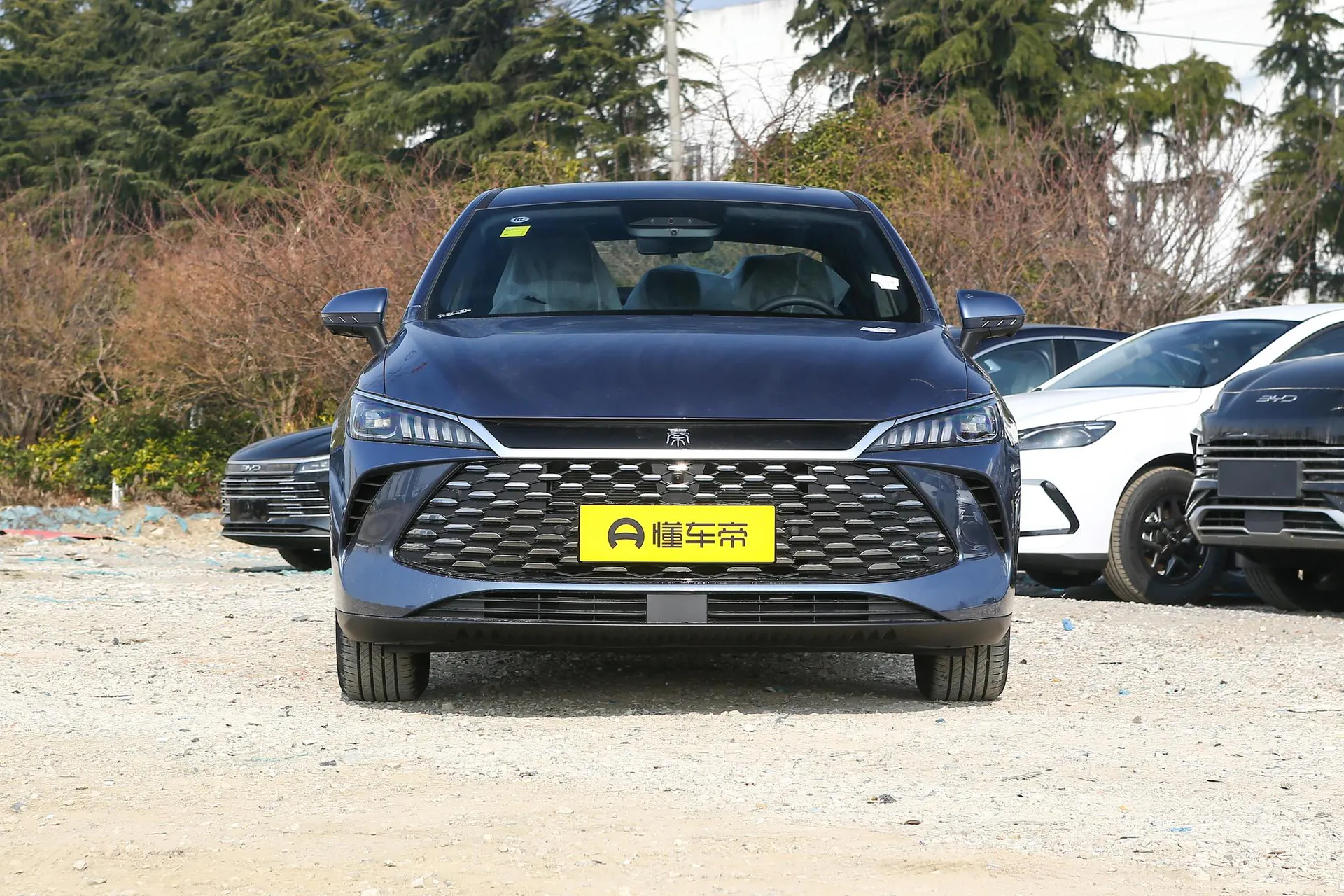  Qin Plus DM Smart Driving DM-i 120 KM Transcend