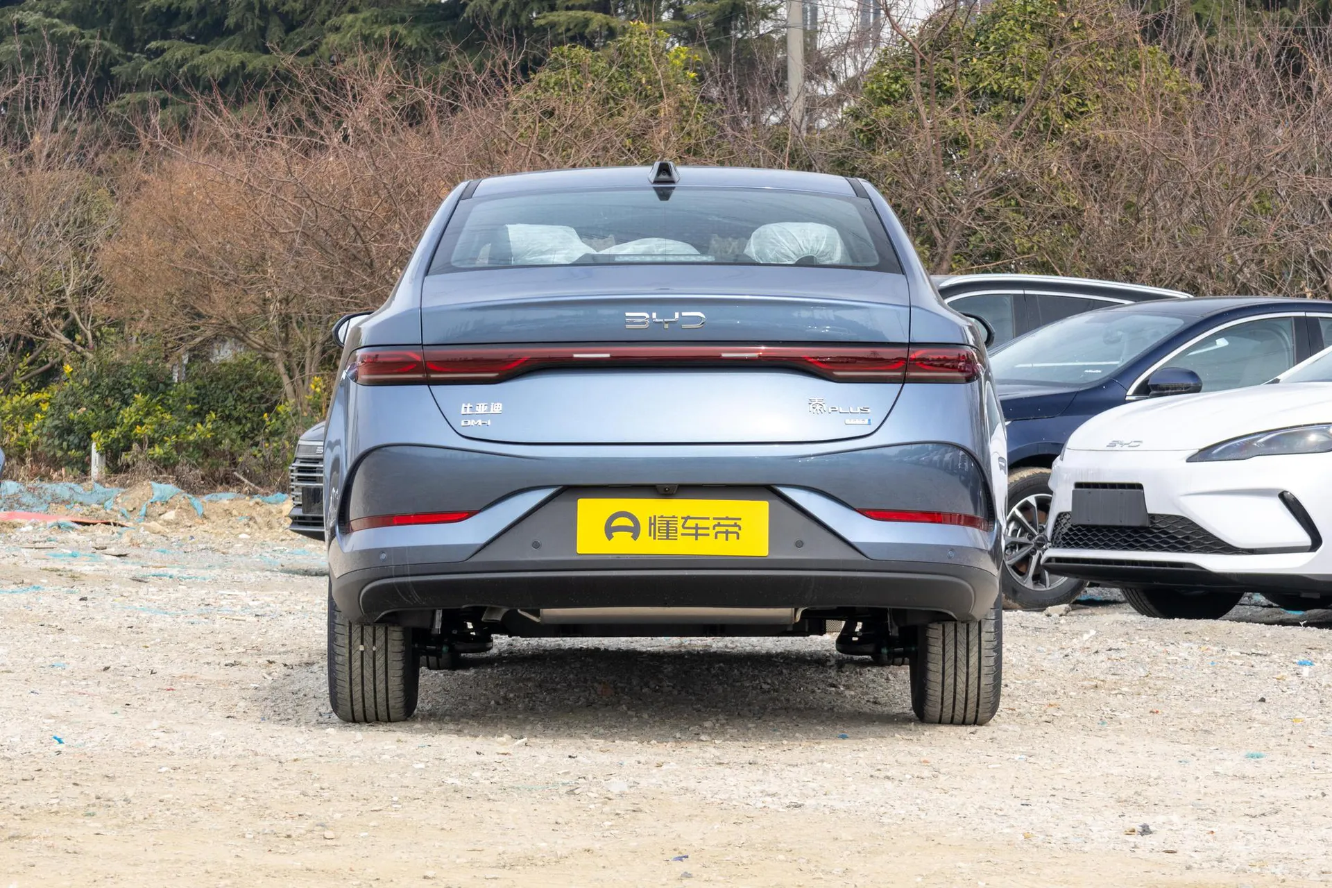  Qin Plus DM Smart Driving DM-i 120 KM Transcend