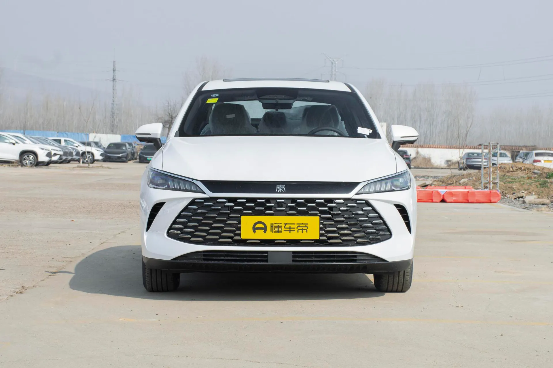  Qin Plus DM Smart Driving DM-i 120 KM Transcend