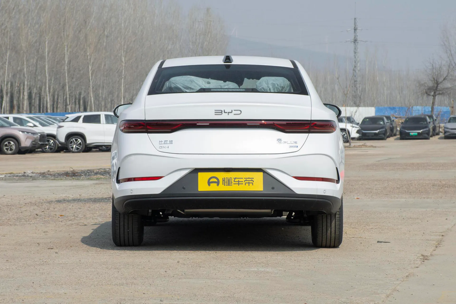  Qin Plus DM Smart Driving DM-i 120 KM Transcend