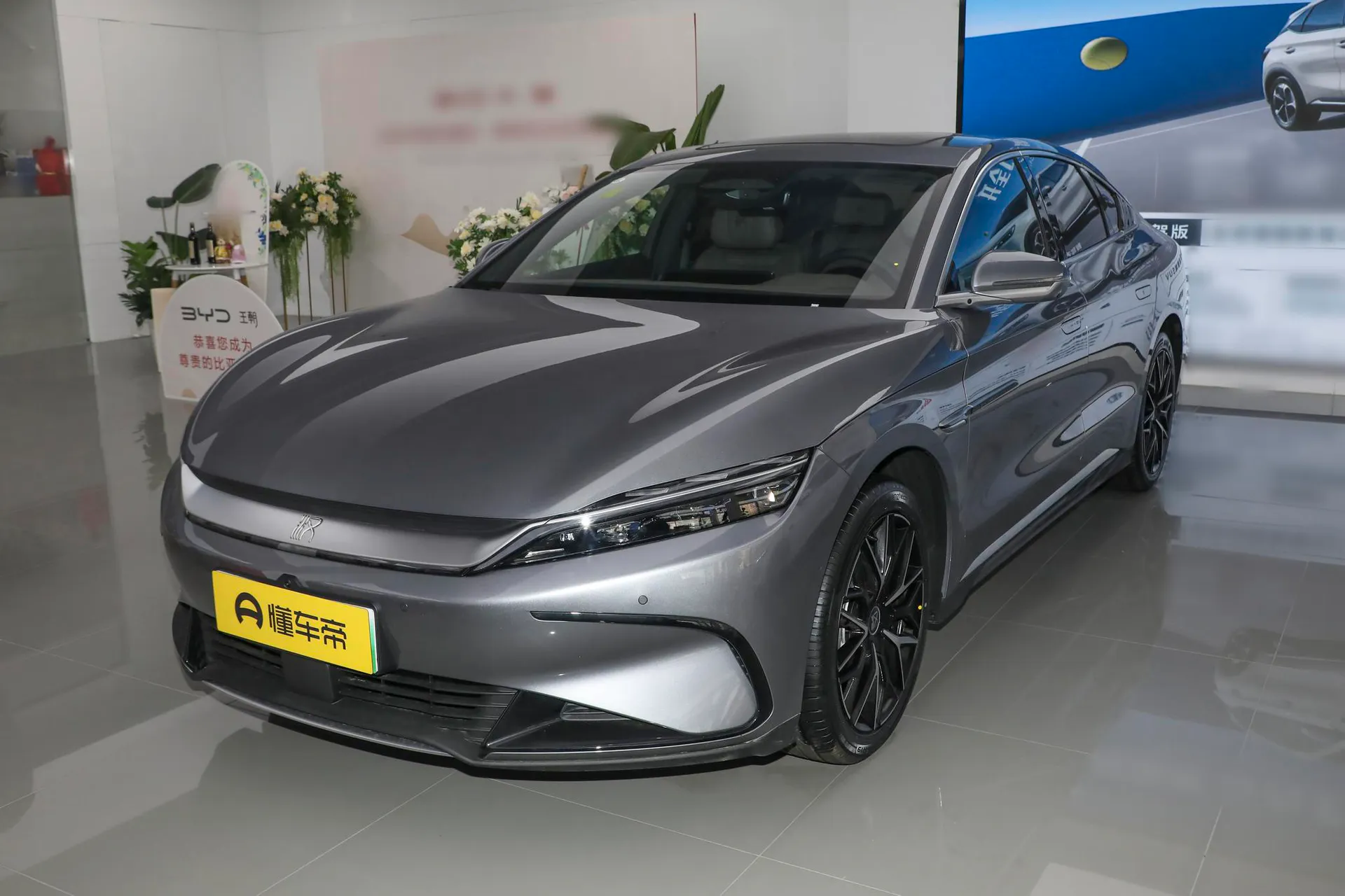  Han EV Smart Driving 506 KM Premium