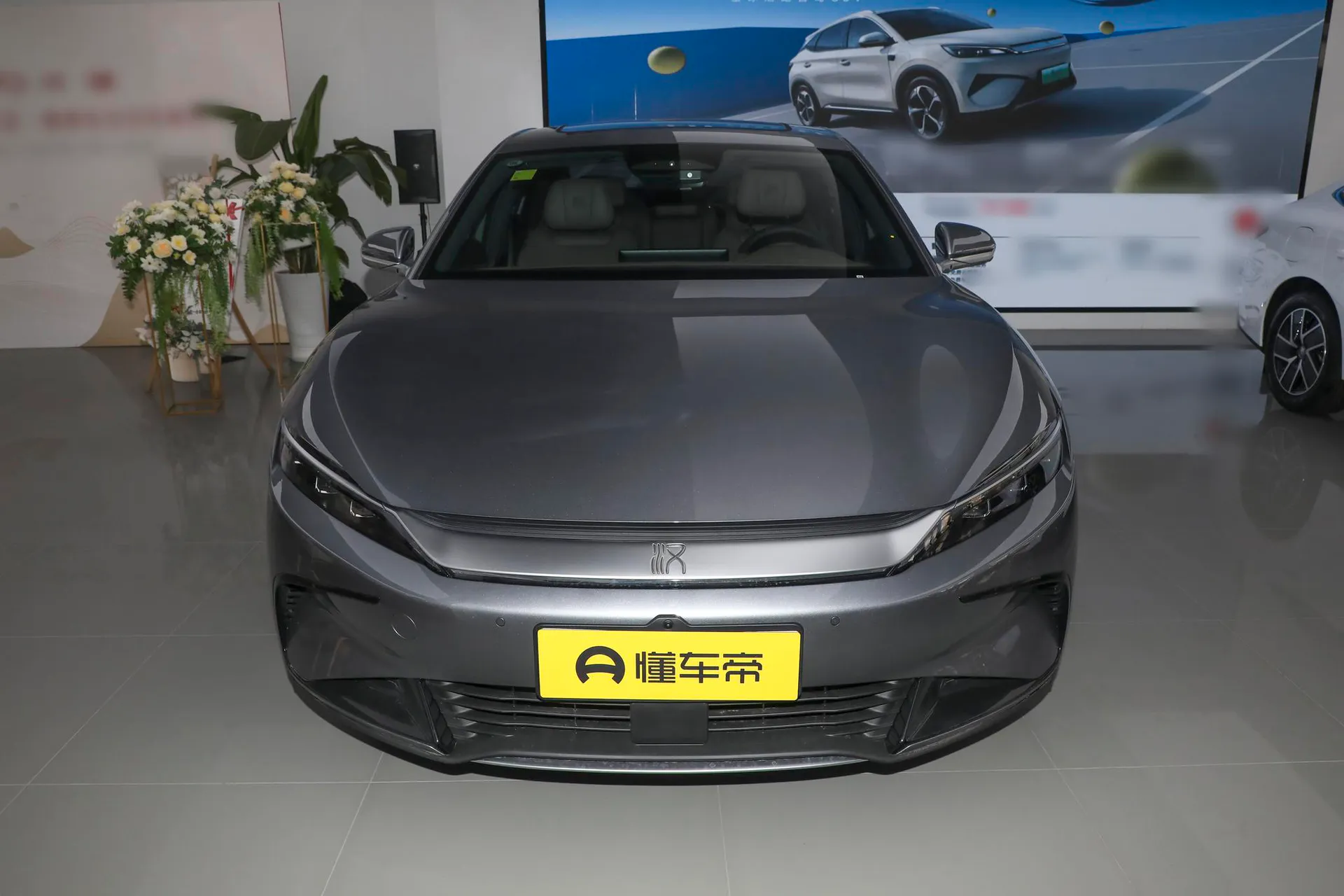  Han EV Smart Driving 506 KM Premium