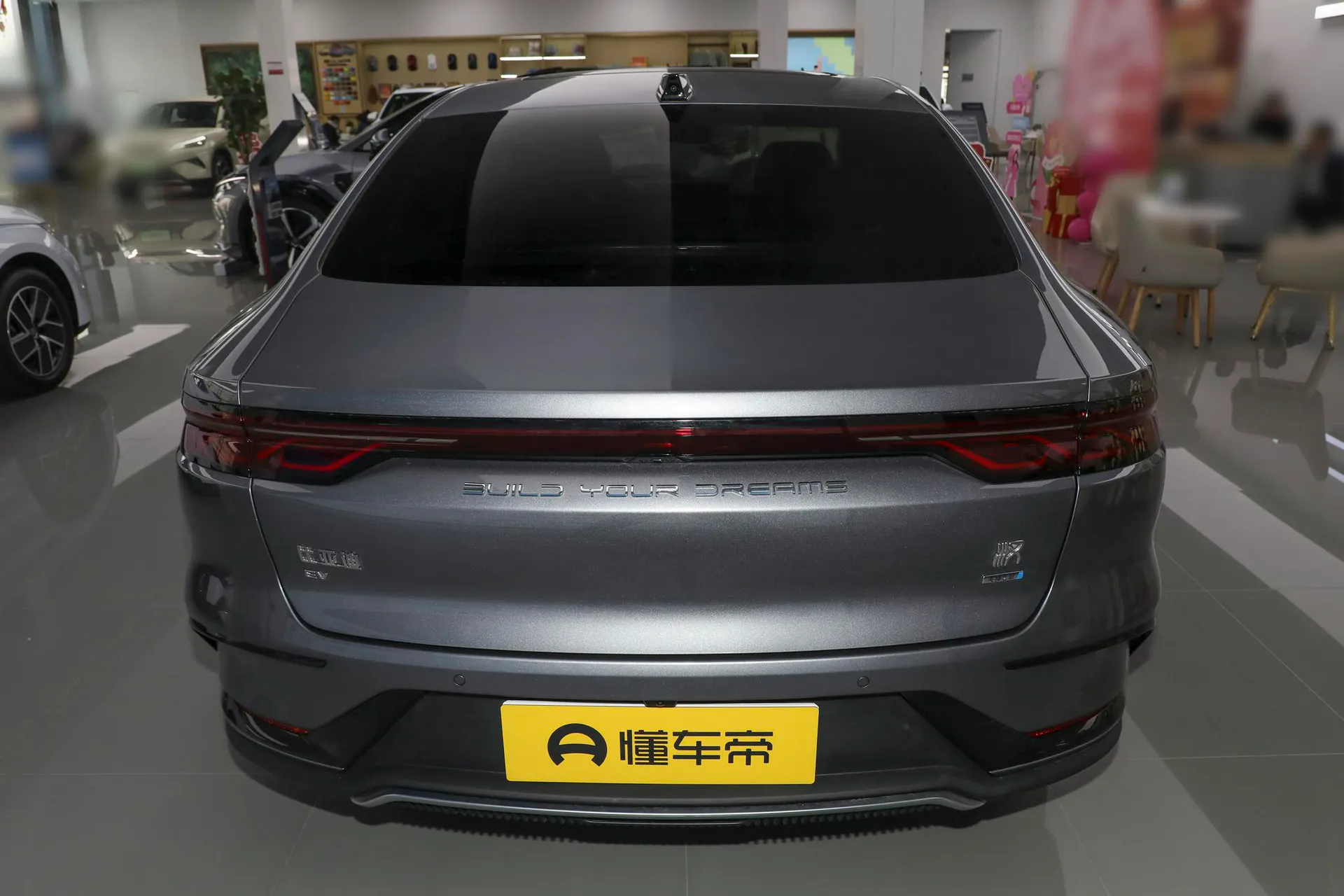  Han EV Smart Driving 506 KM Premium
