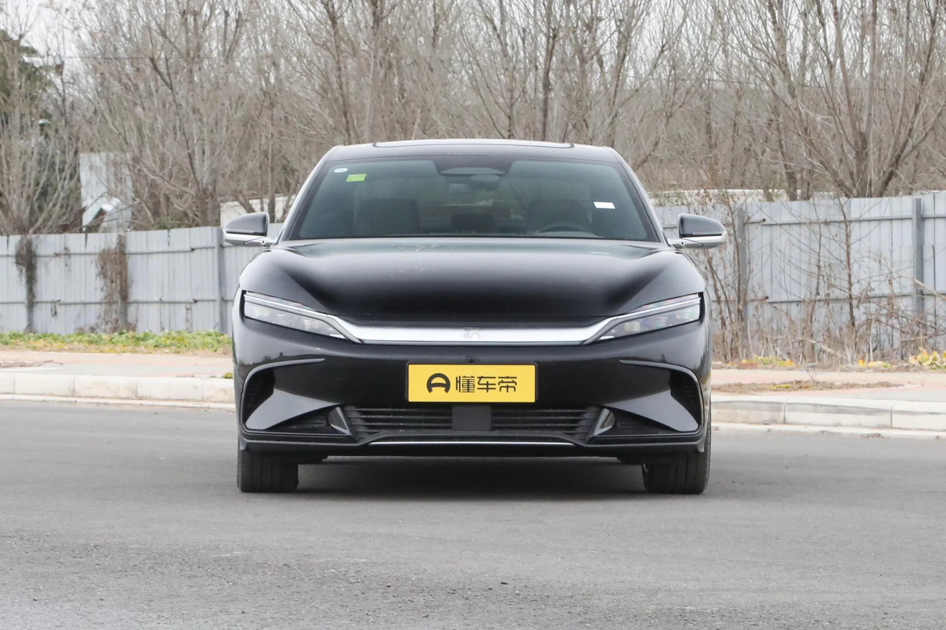  Han EV Smart Driving 605 KM Honor