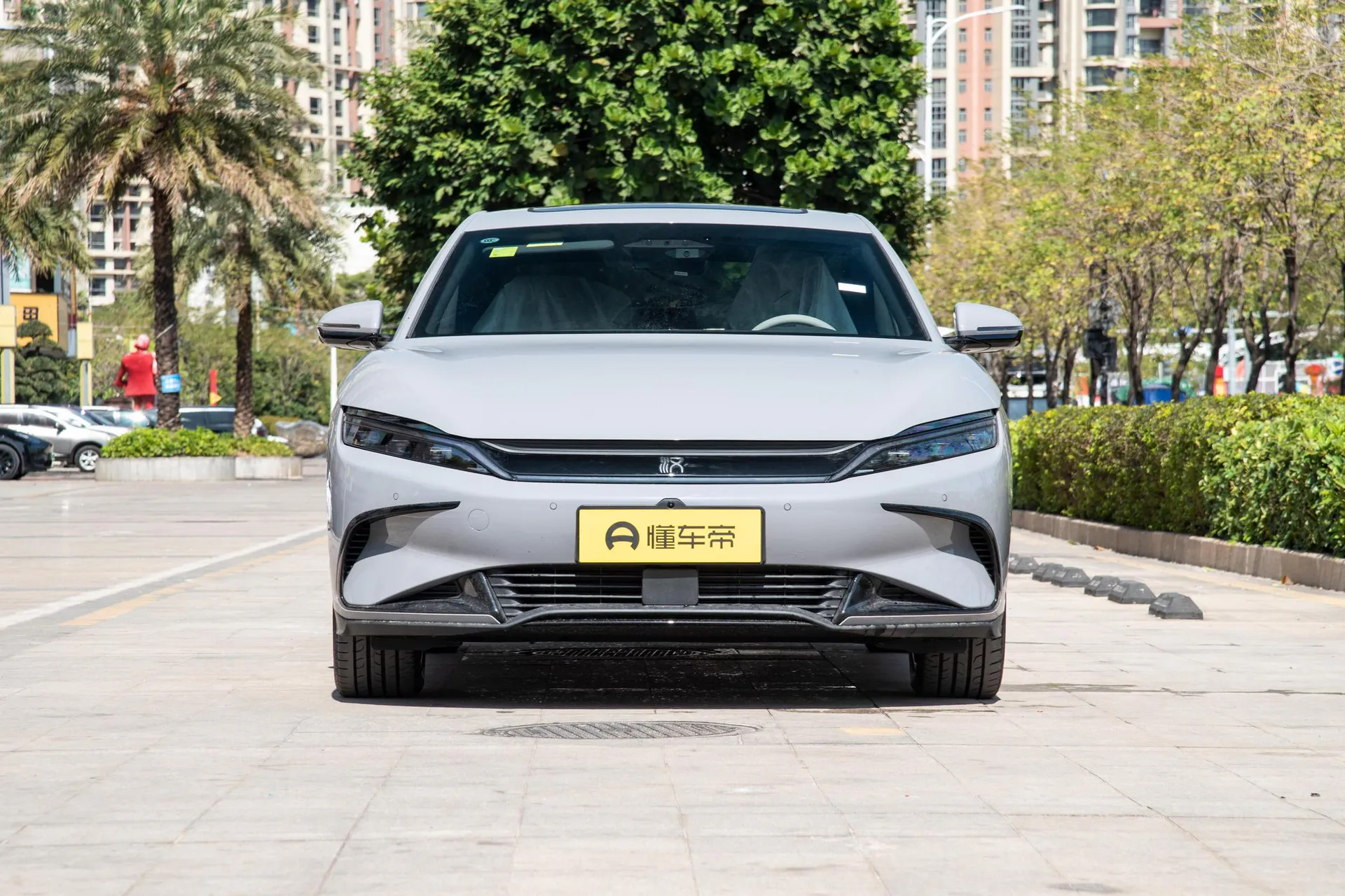  Han EV Smart Driving 605 KM Honor