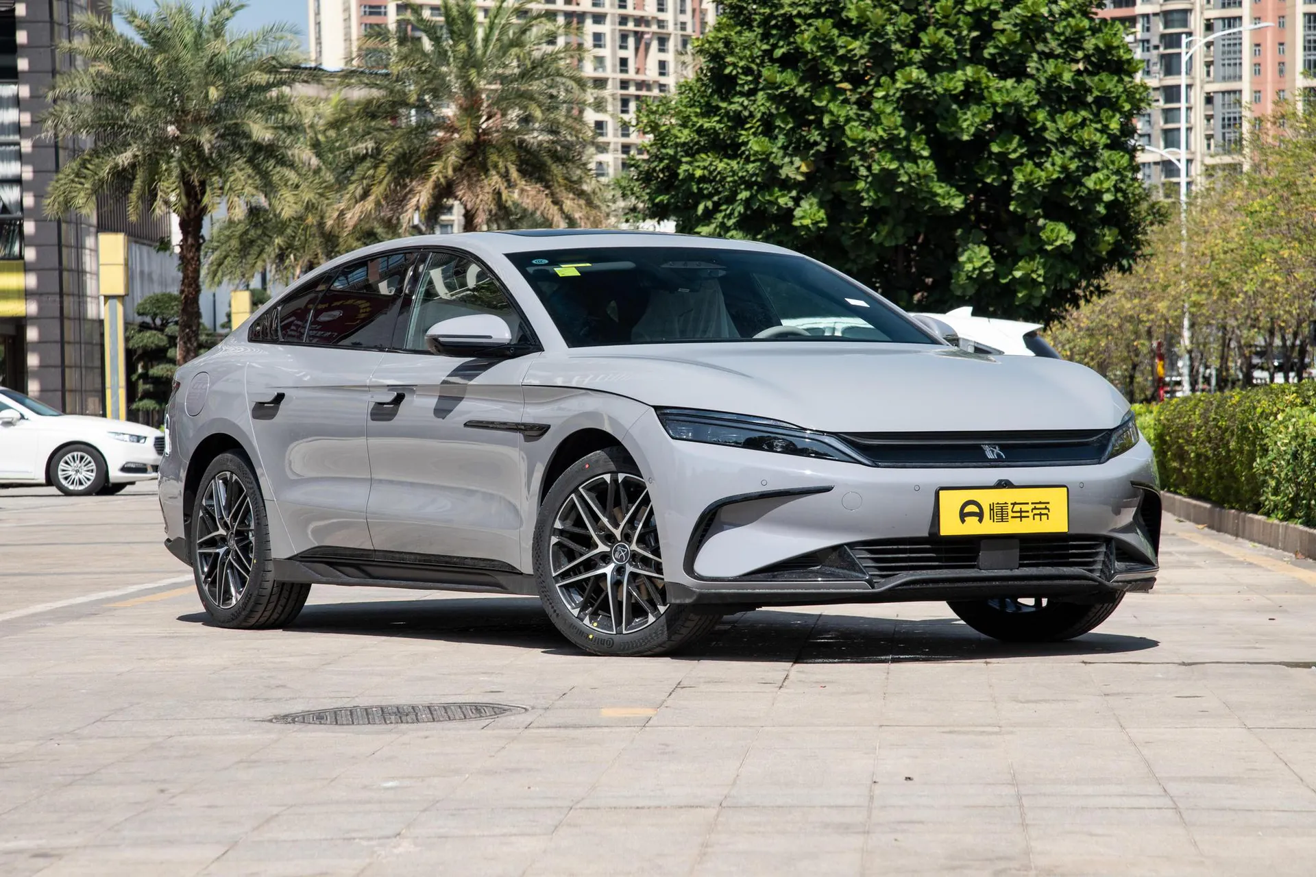  Han EV Smart Driving 605 KM Honor