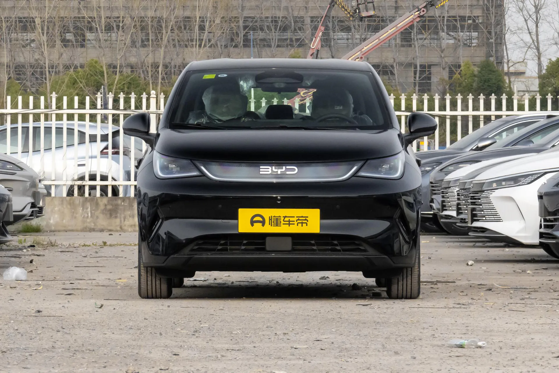 Dolphin Smart Driving 420 KM Freedom