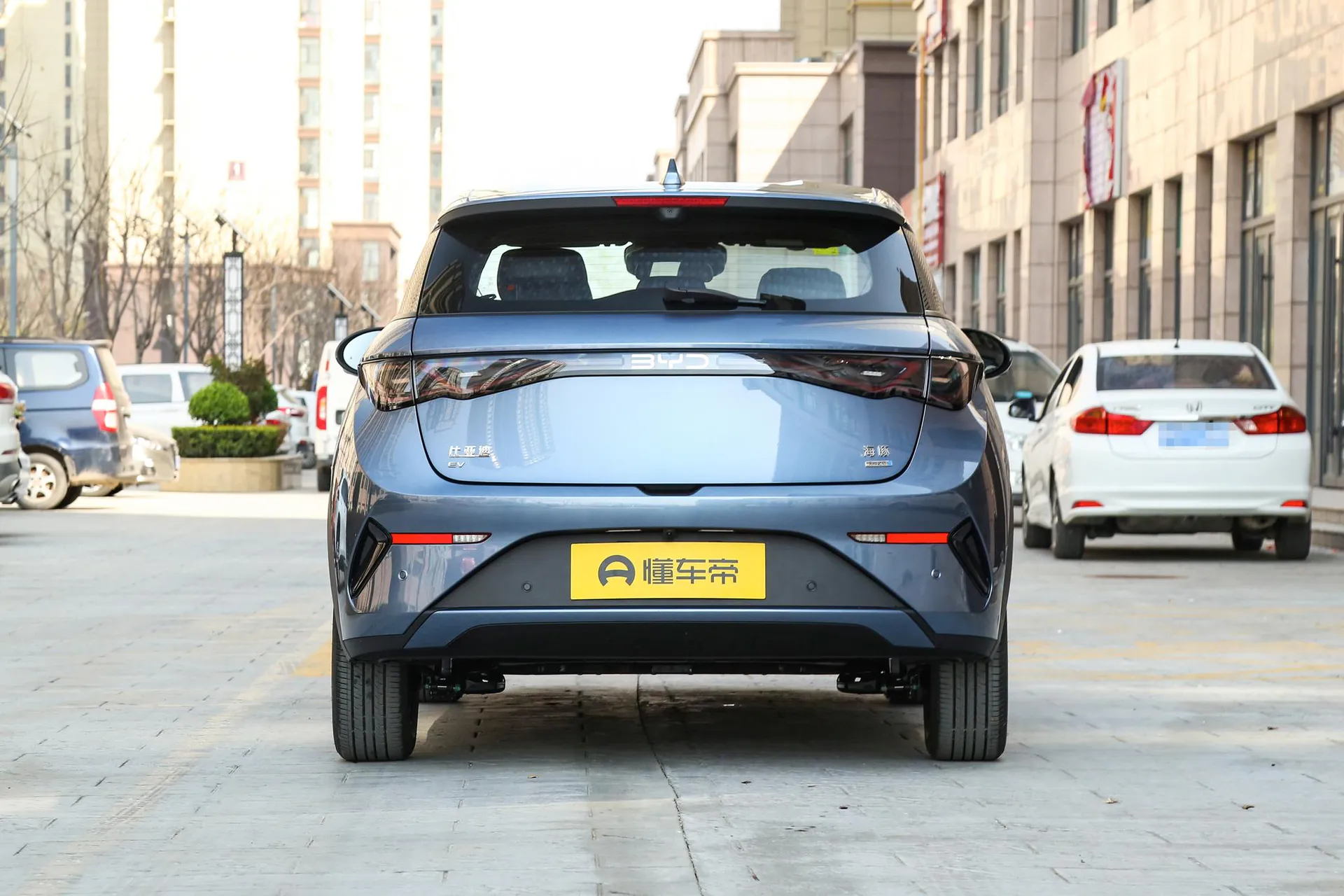  Dolphin Smart Driving 420 KM Freedom