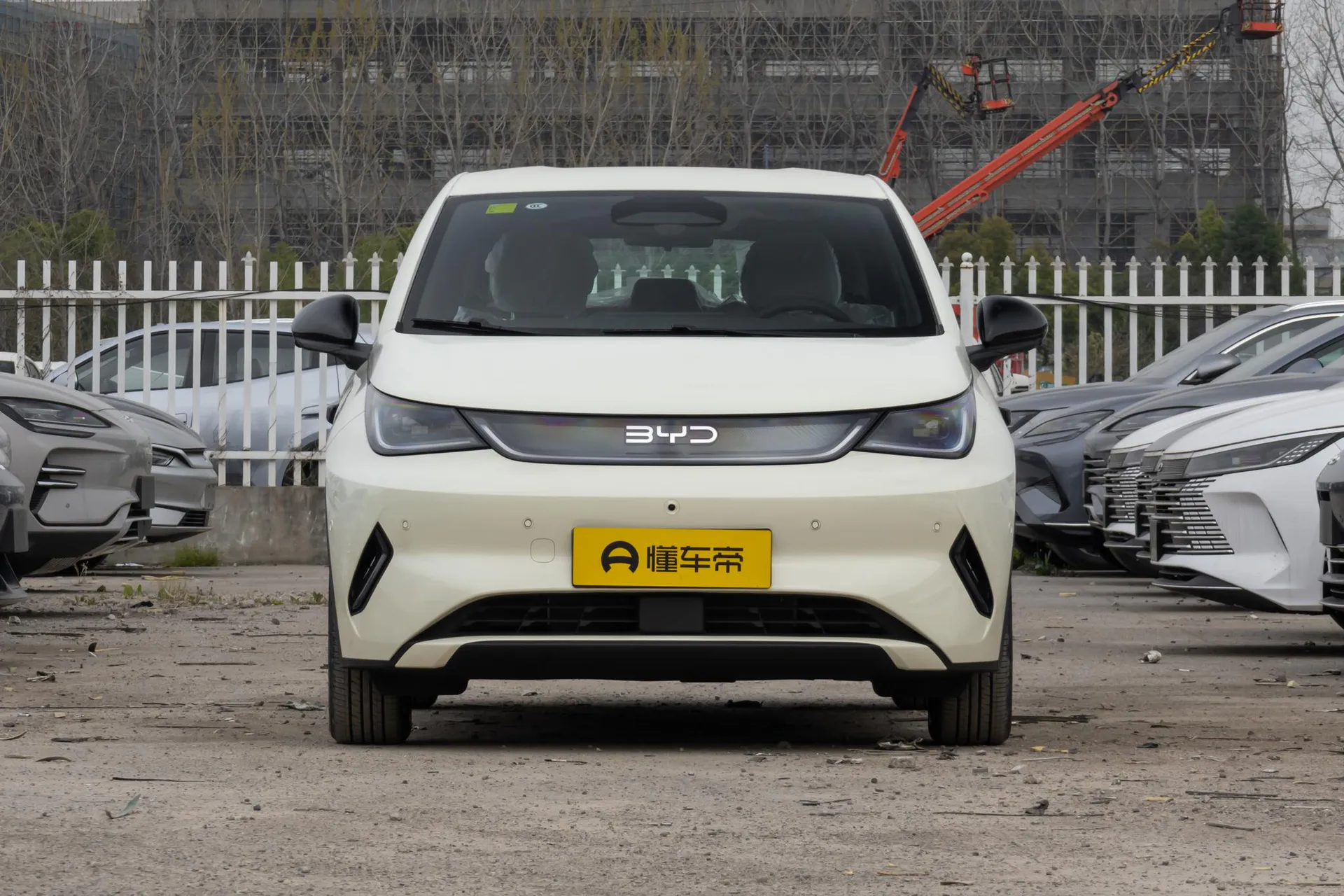  Dolphin Smart Driving 420 KM Freedom