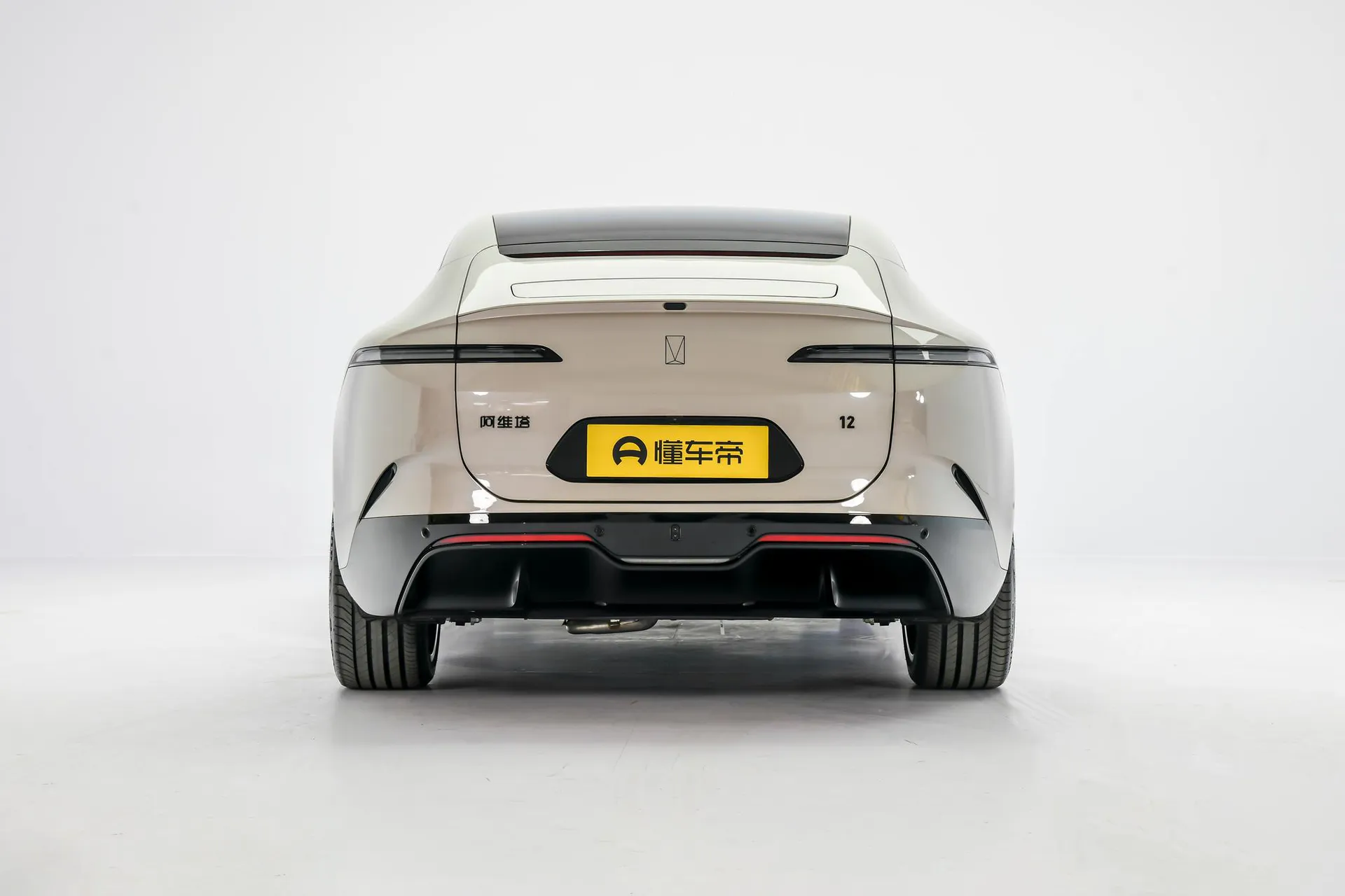  12 Max Dual-Motor RWD