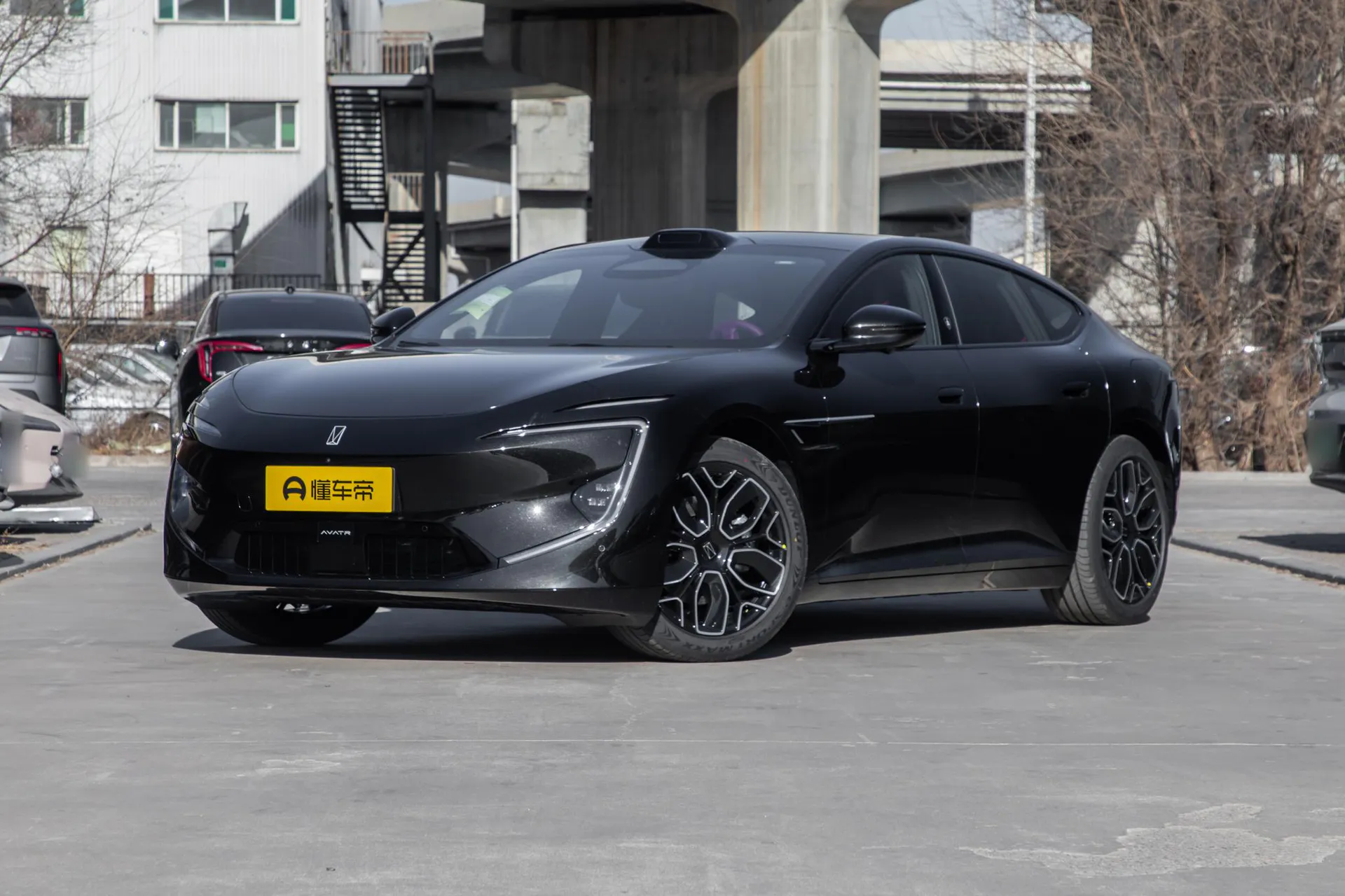  12 Max Dual-Motor RWD Pure EV