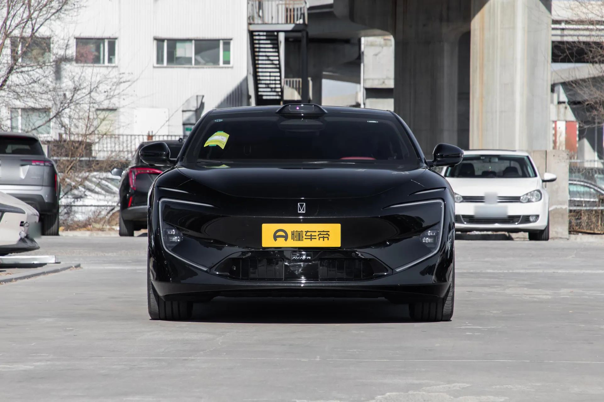  12 Max Dual-Motor RWD Pure EV