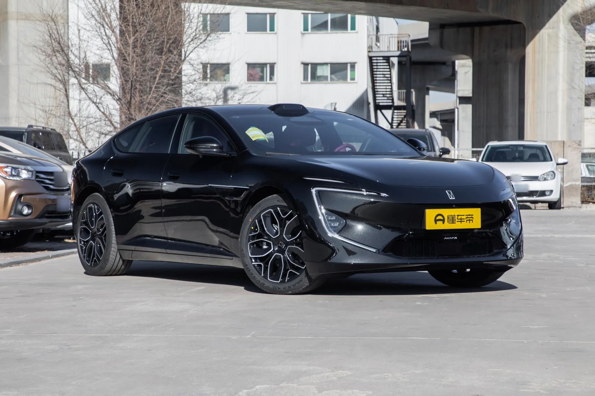  12 Max Dual-Motor RWD Pure EV