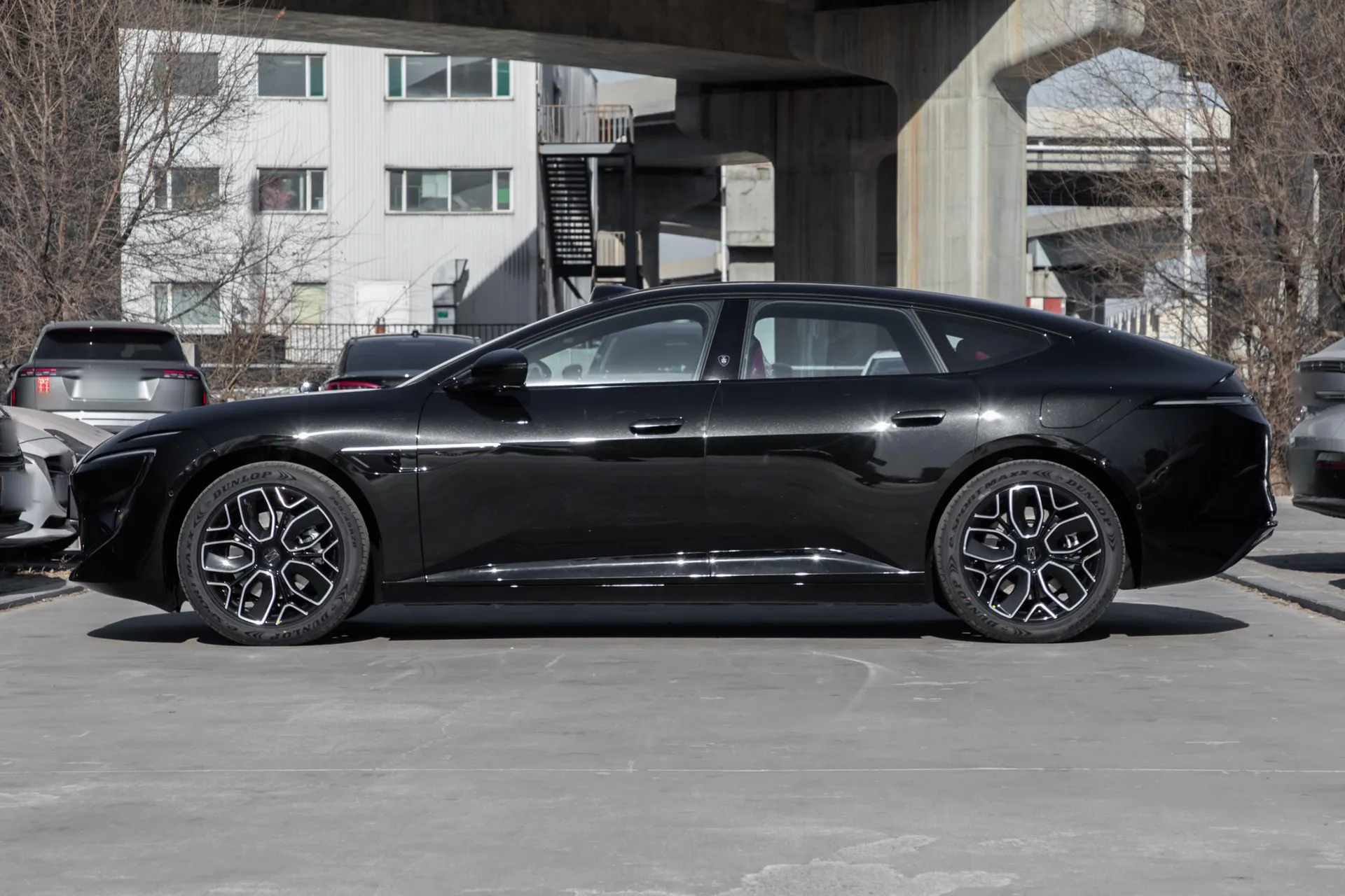  12 Max Dual-Motor RWD Pure EV