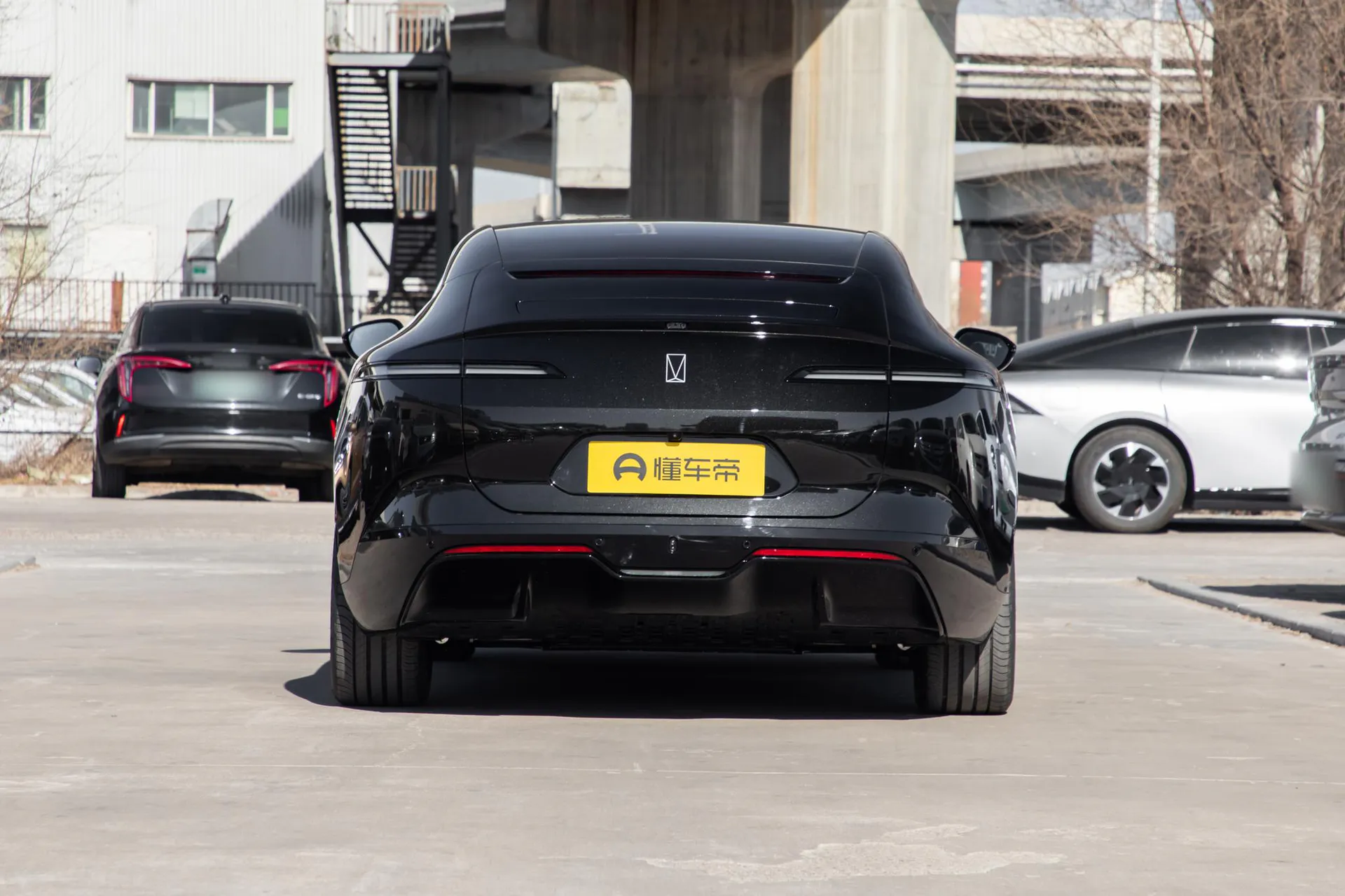  12 Max Dual-Motor RWD Pure EV
