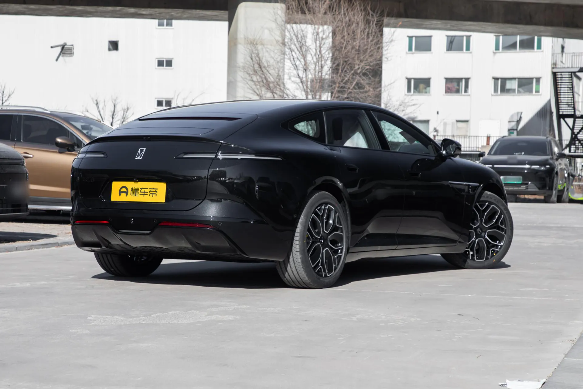  12 Max Dual-Motor RWD Pure EV