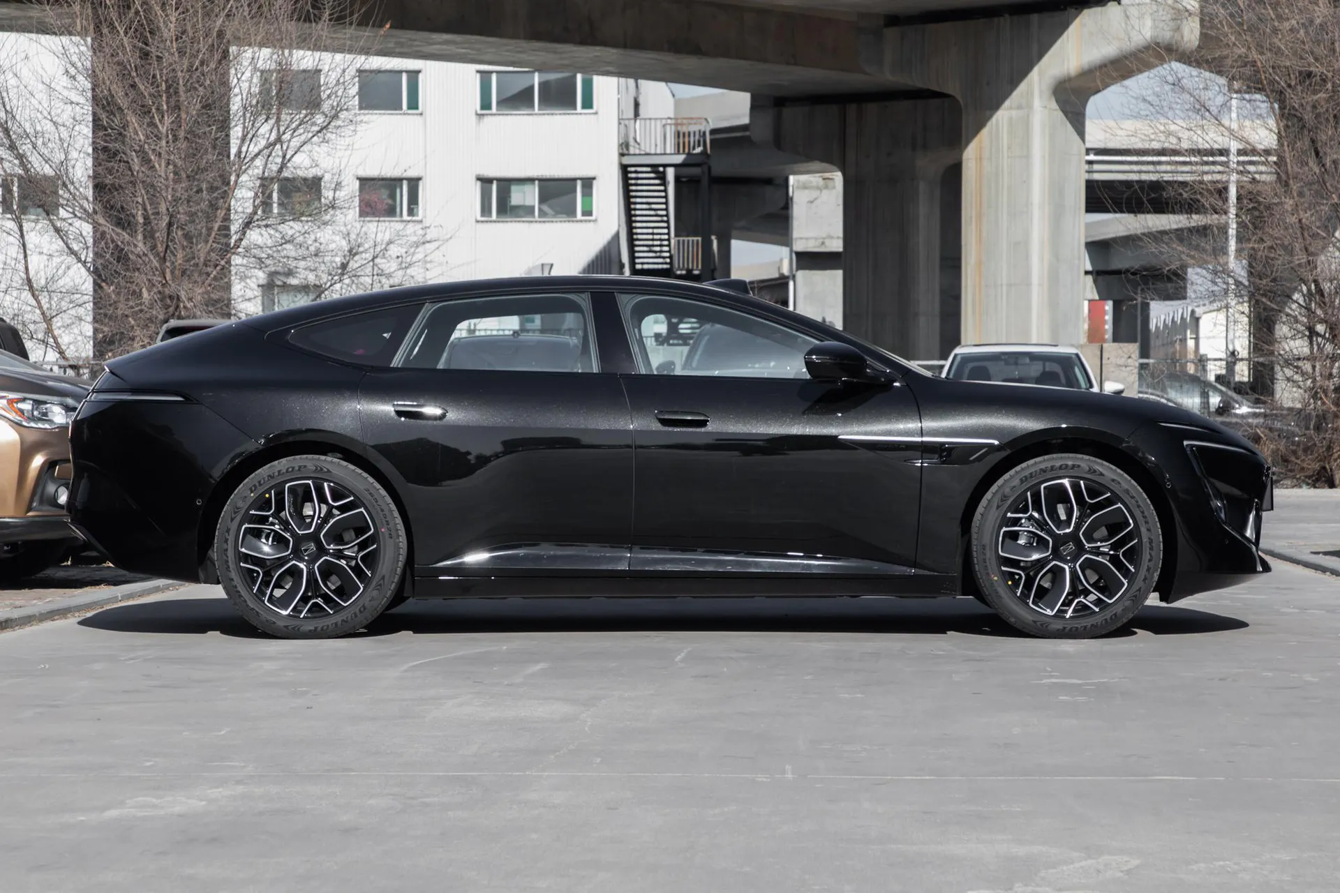  12 Max Dual-Motor RWD Pure EV