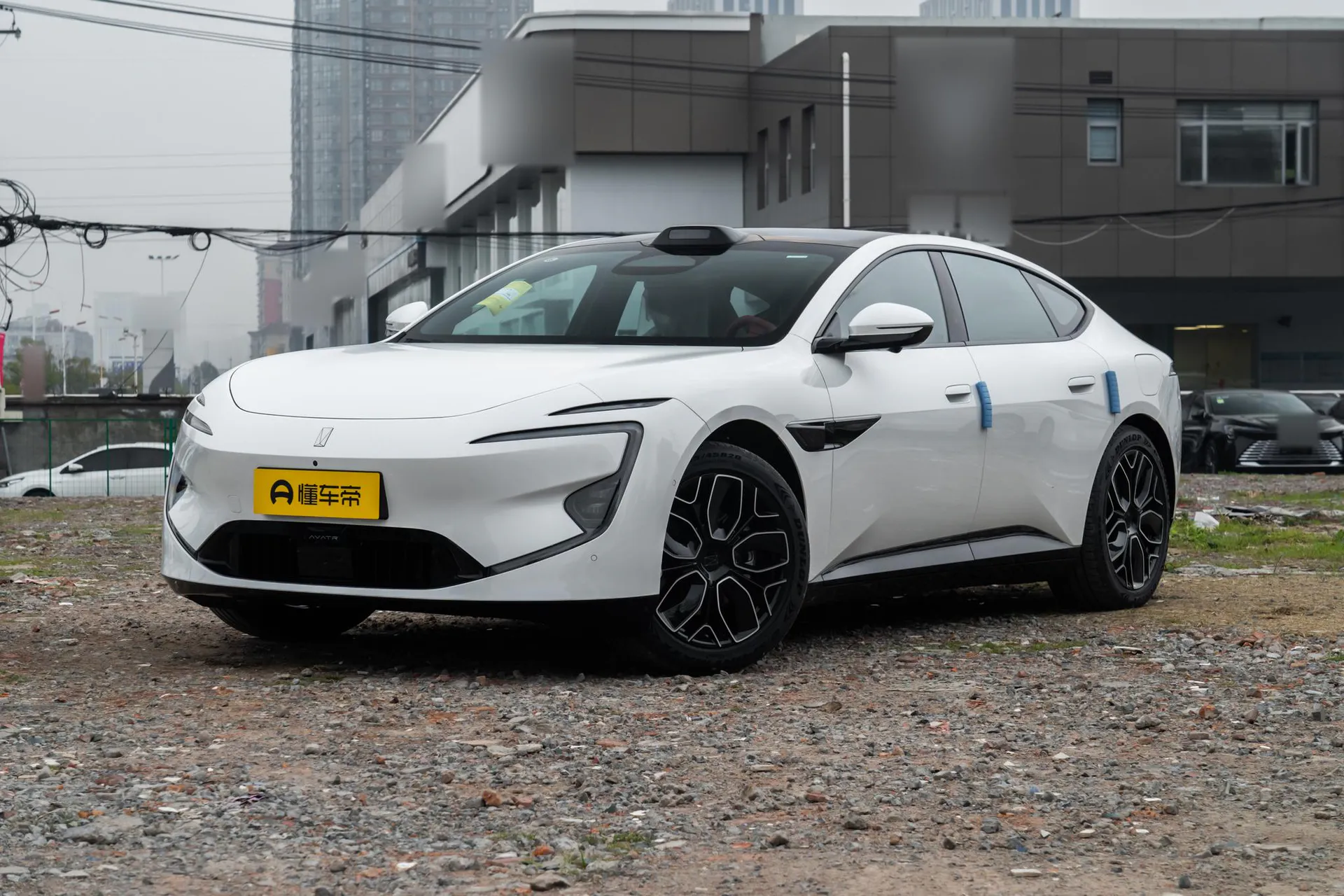  12 Max Dual-Motor RWD Pure EV