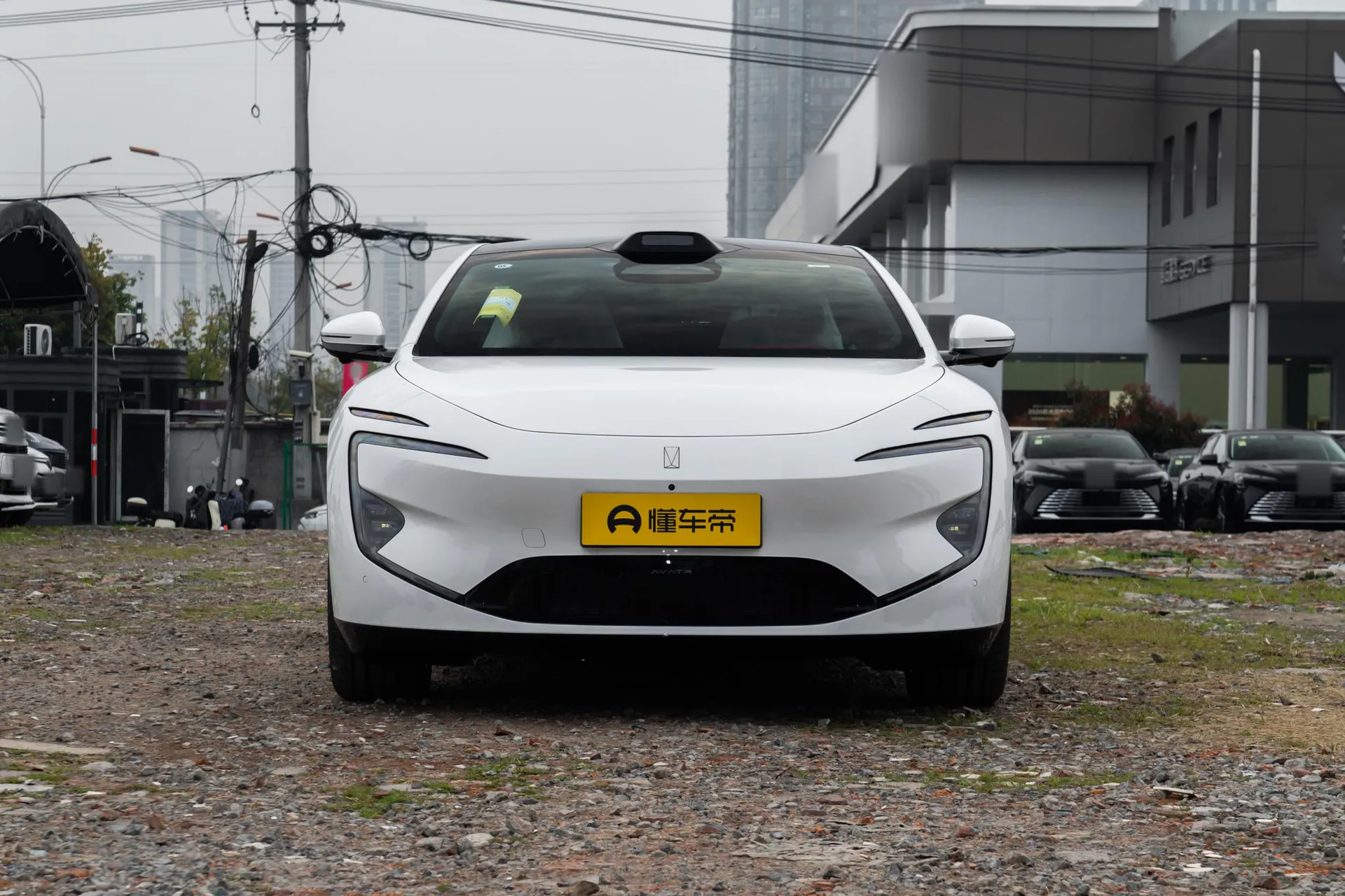  12 Max Dual-Motor RWD Pure EV