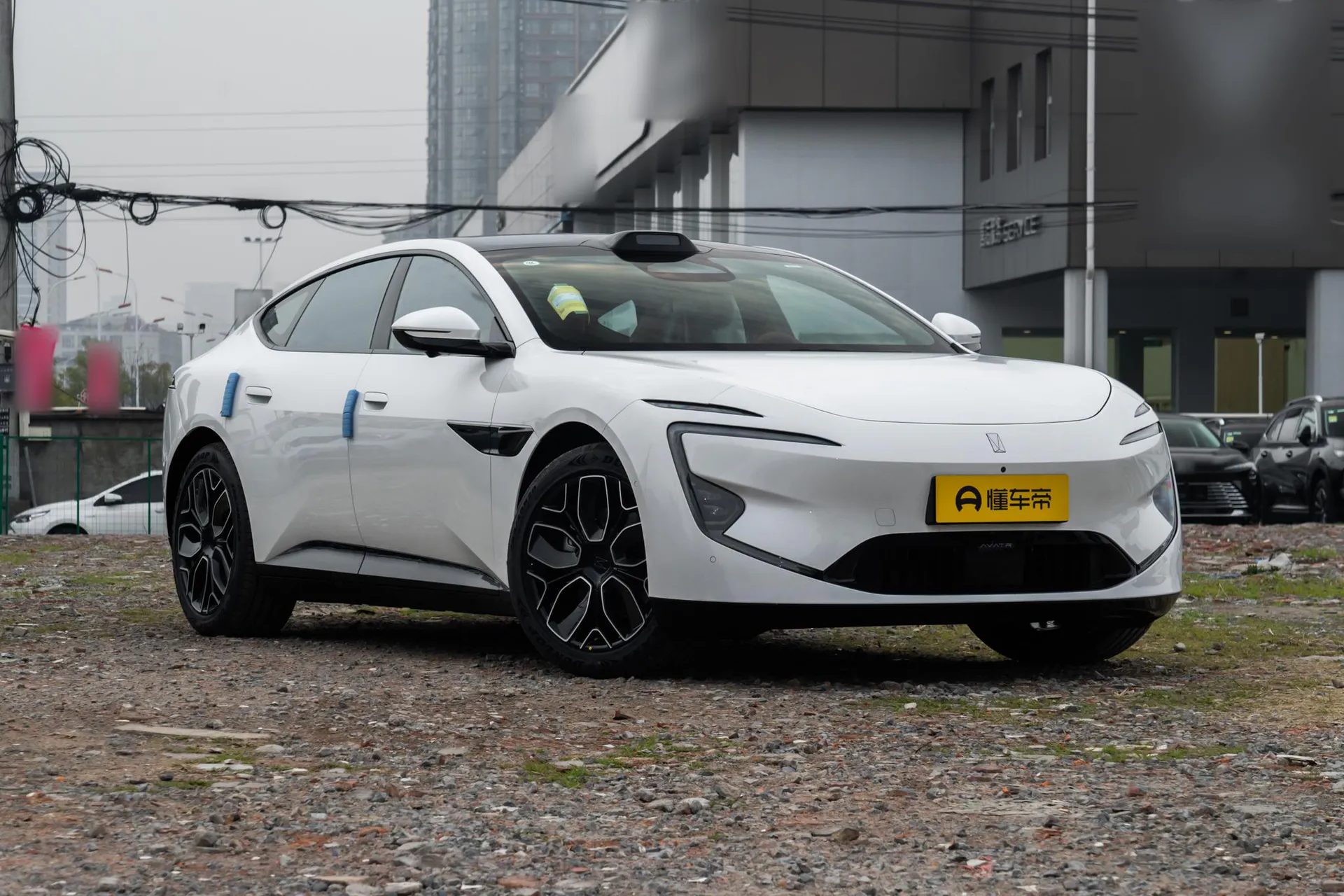  12 Max Dual-Motor RWD Pure EV
