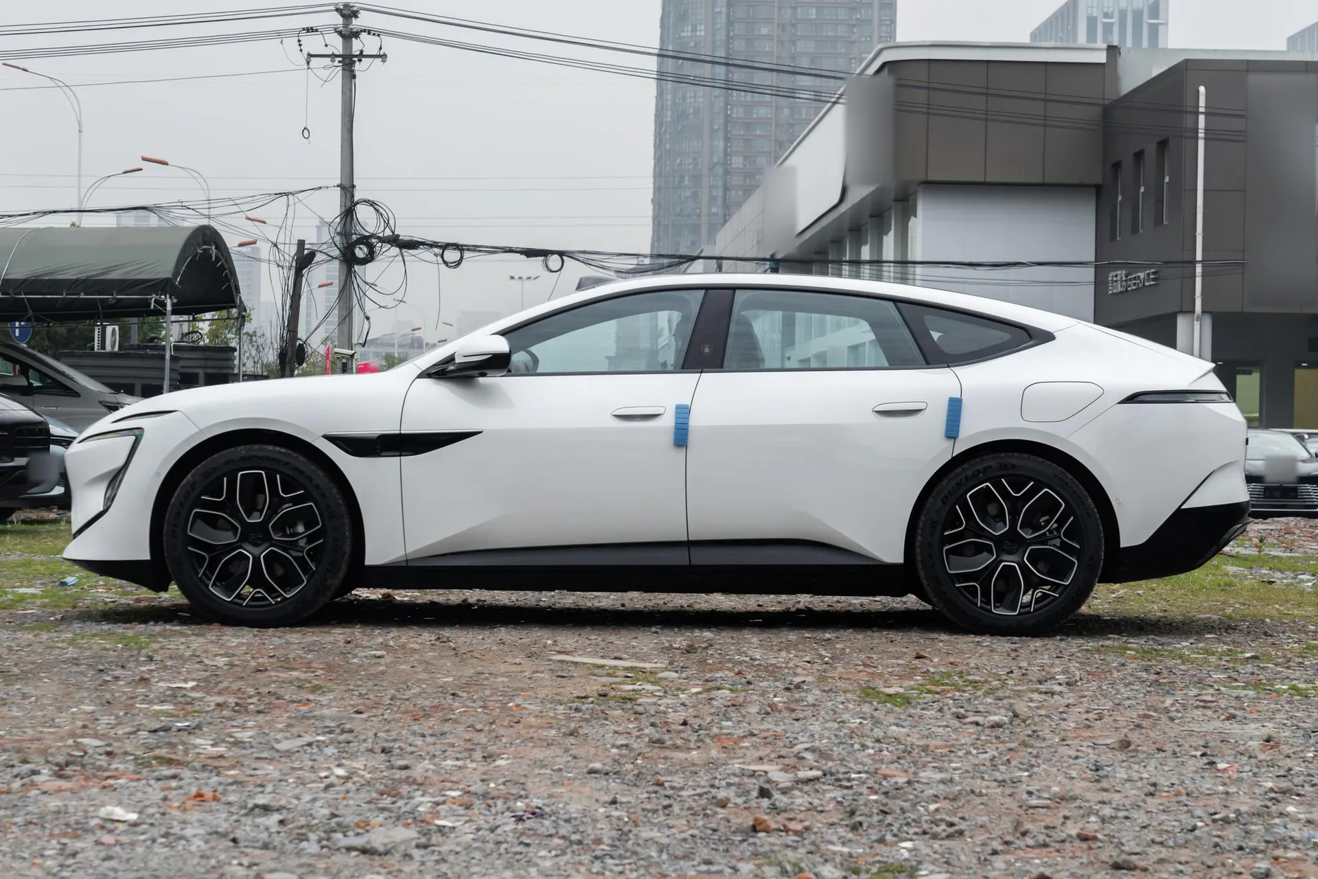  12 Max Dual-Motor RWD Pure EV