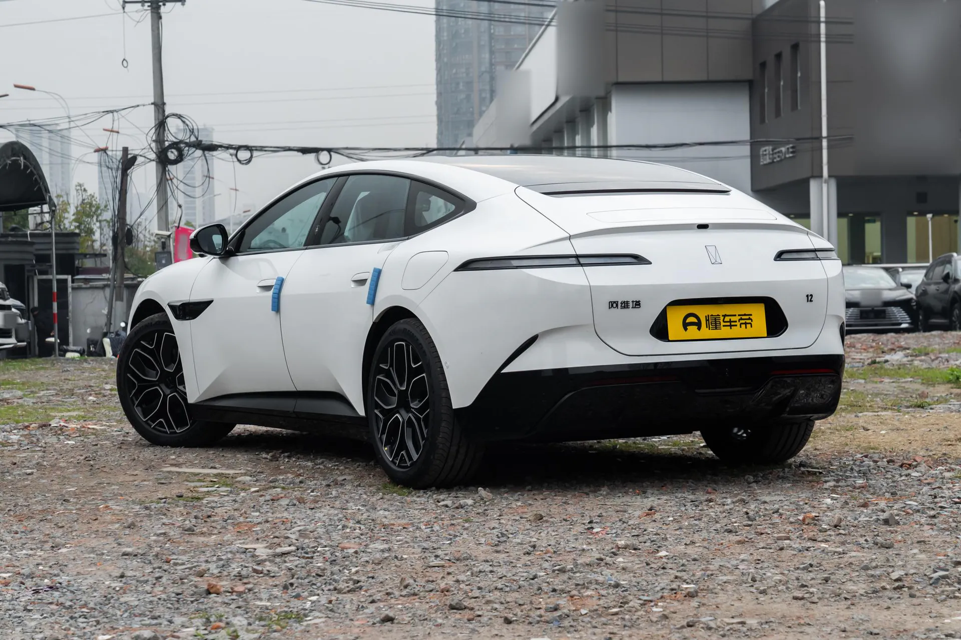 12 Max Dual-Motor RWD Pure EV