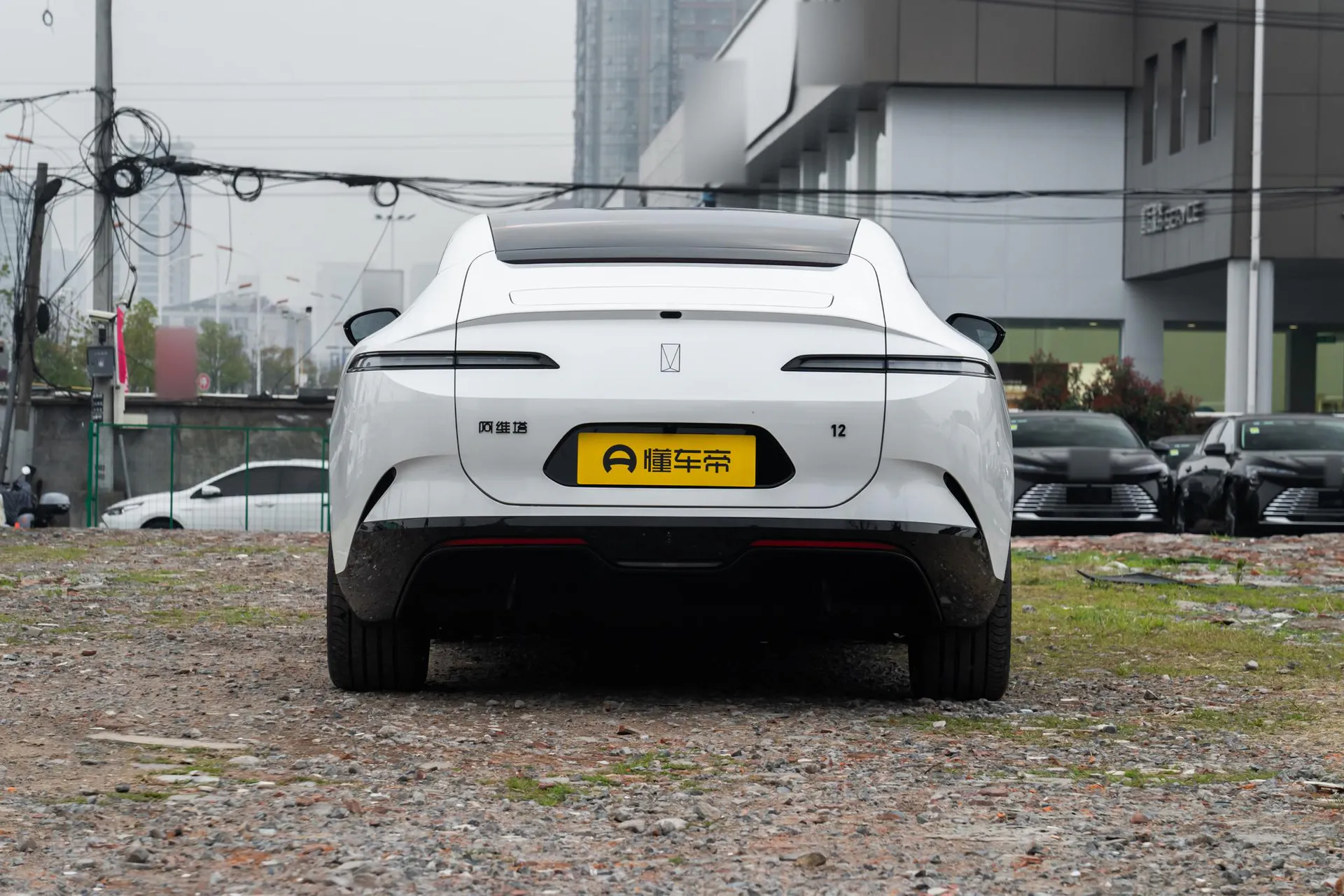  12 Max Dual-Motor RWD Pure EV
