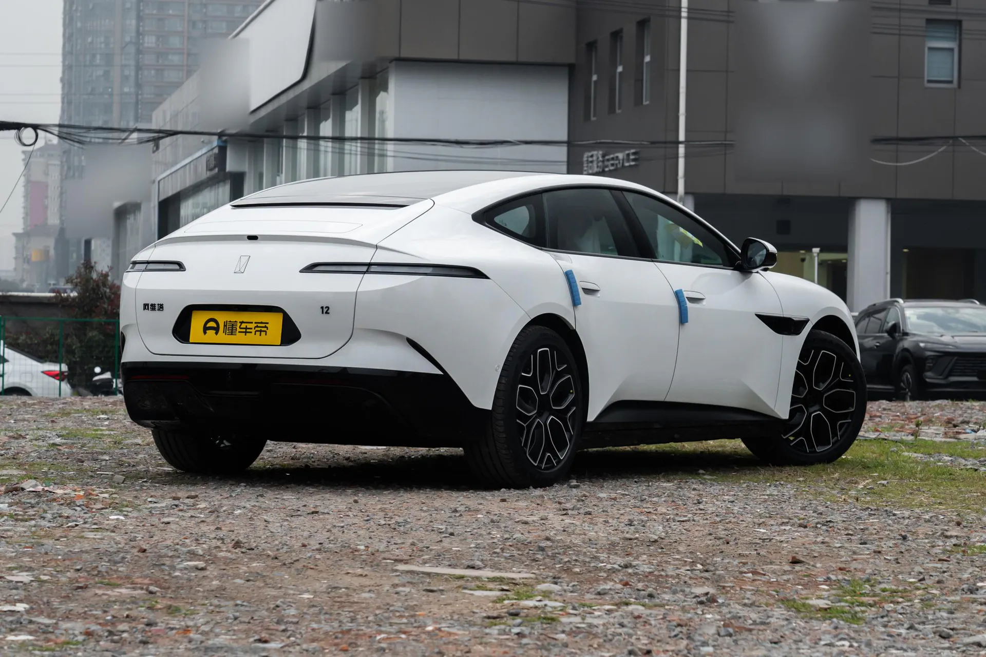  12 Max Dual-Motor RWD Pure EV
