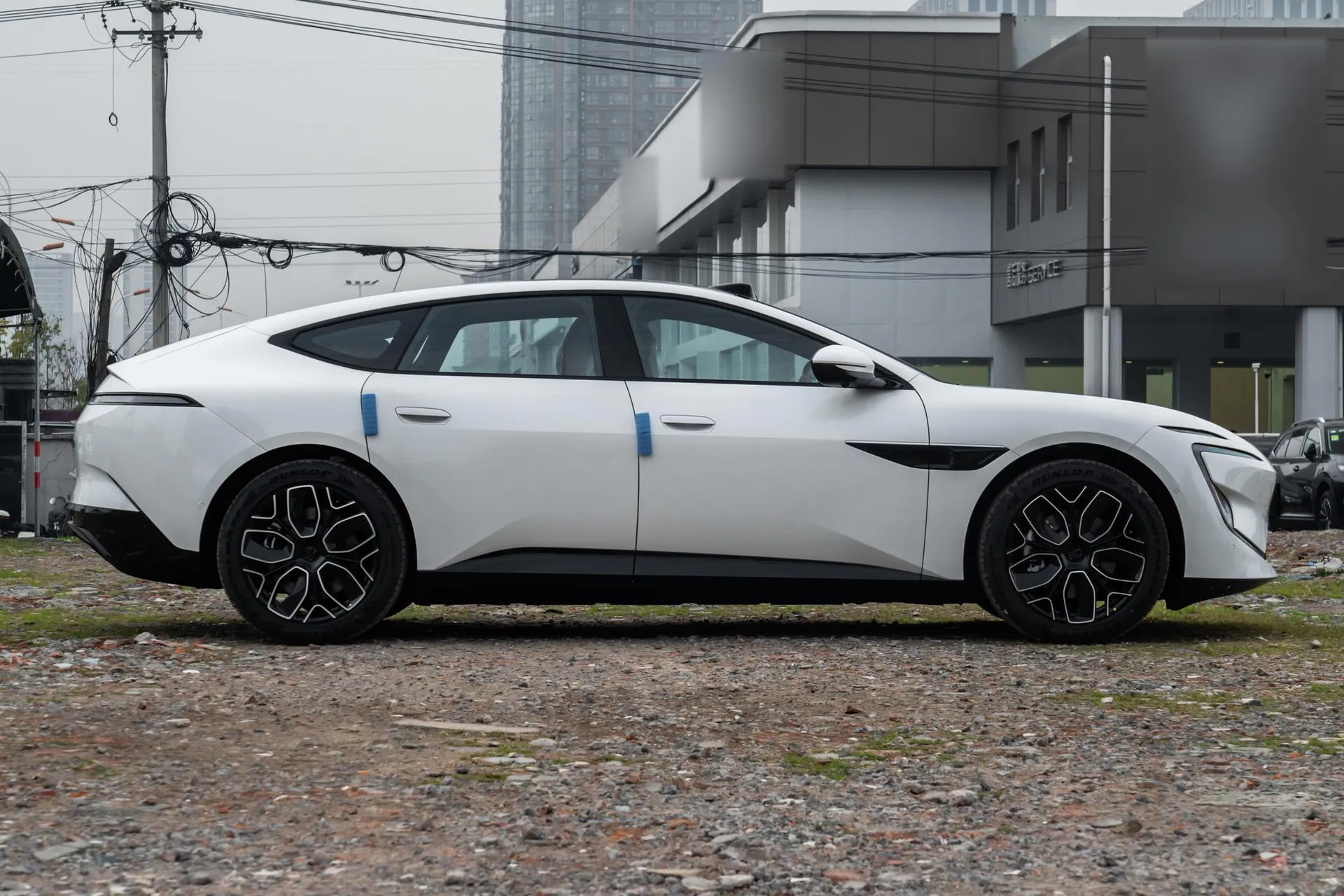  12 Max Dual-Motor RWD Pure EV
