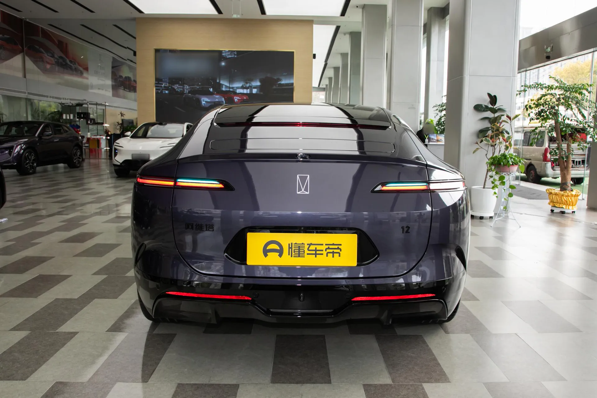  12 Ultra Dual-Motor RWD Pure EV
