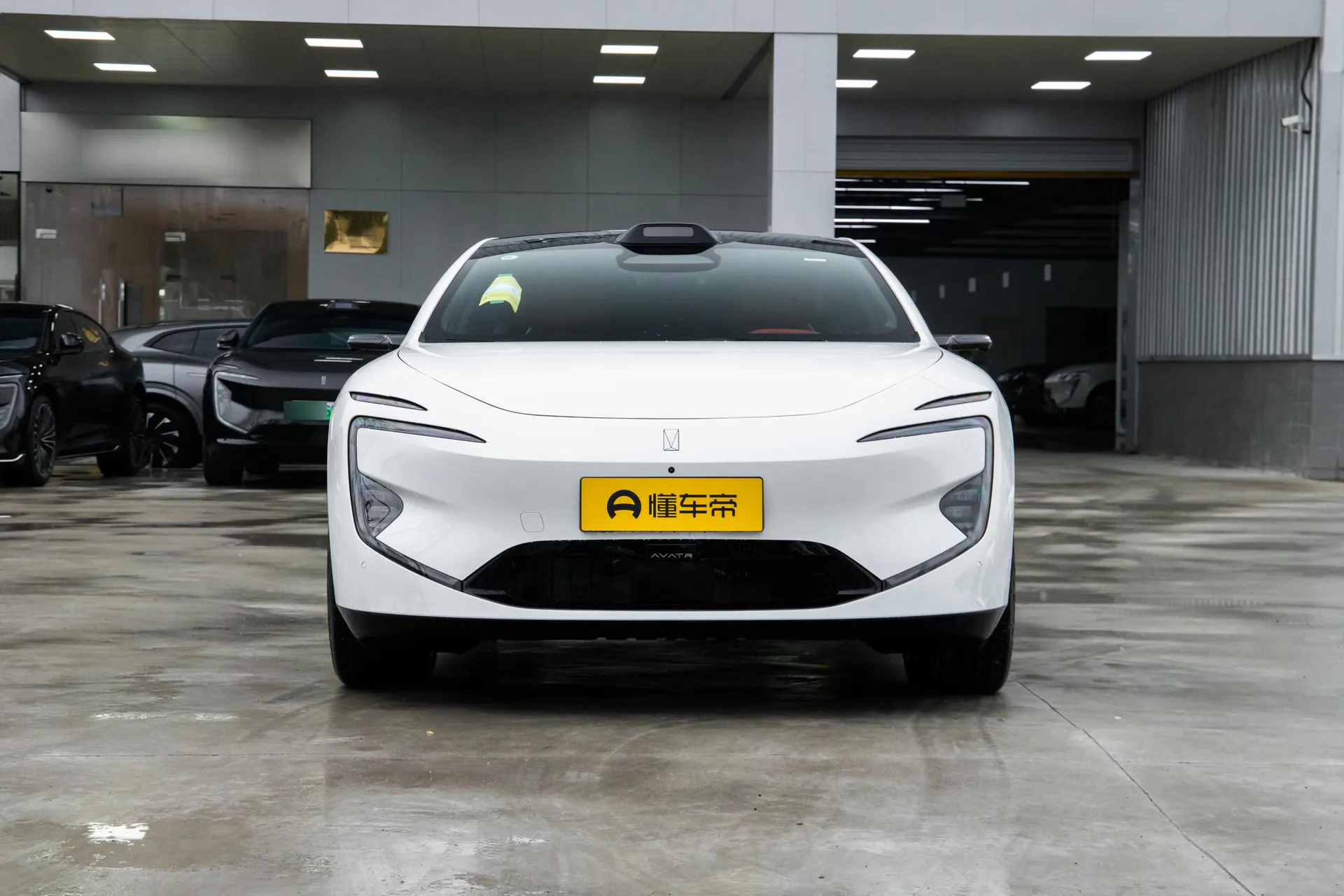  12 Ultra Dual-Motor RWD Pure EV