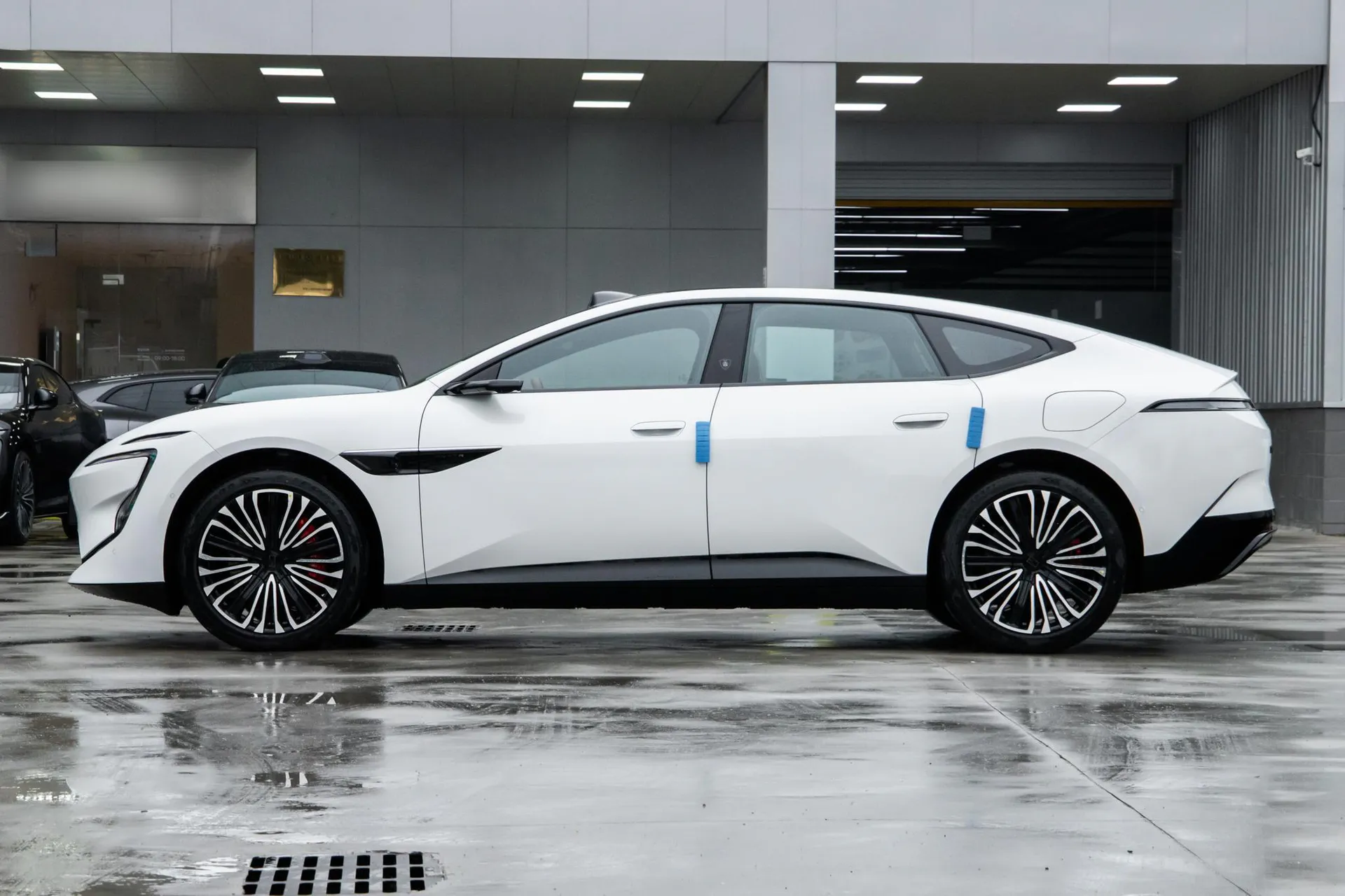 12 Ultra Dual-Motor RWD Pure EV