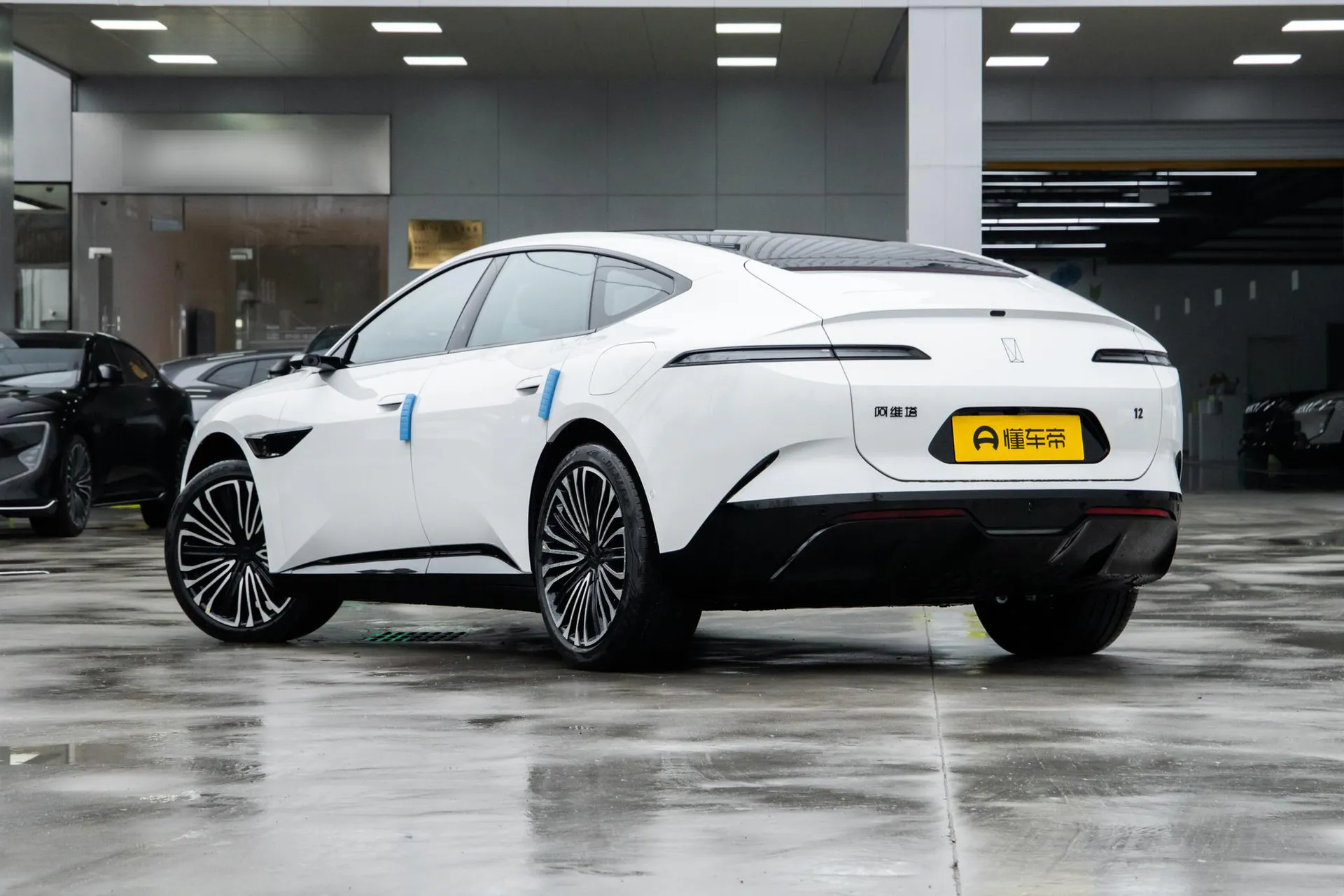 12 Ultra Dual-Motor RWD Pure EV