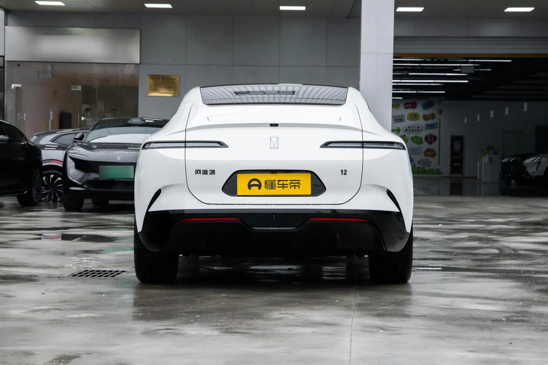  12 Ultra Dual-Motor RWD Pure EV
